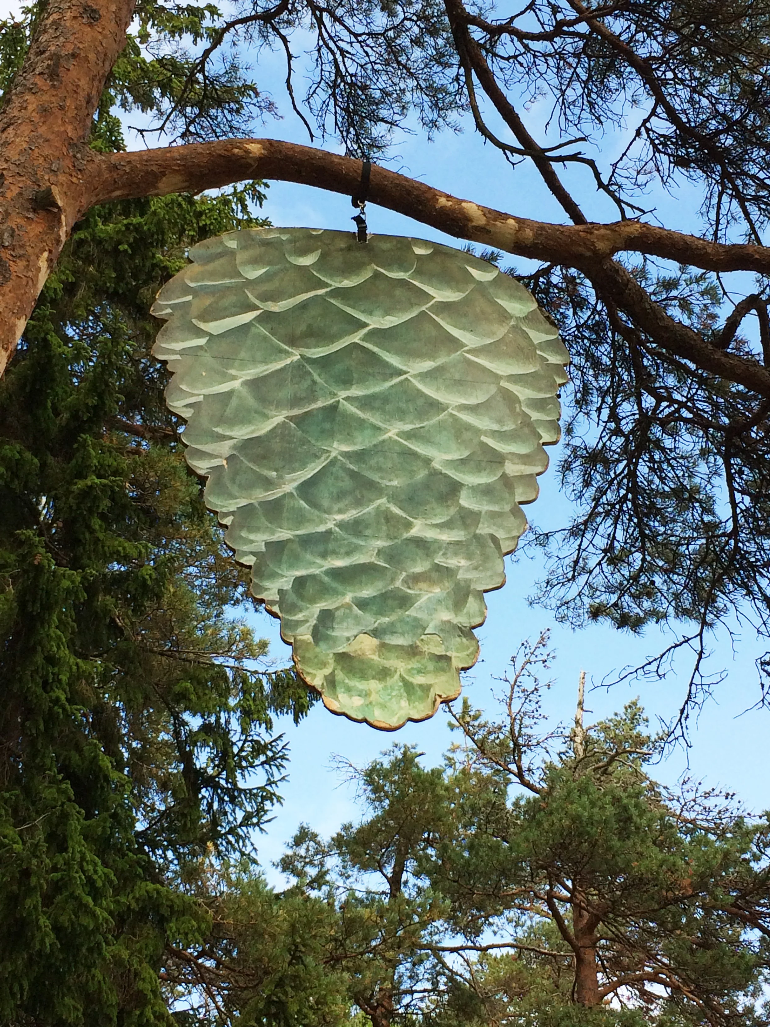 UntitledPineCone2-1.jpg
