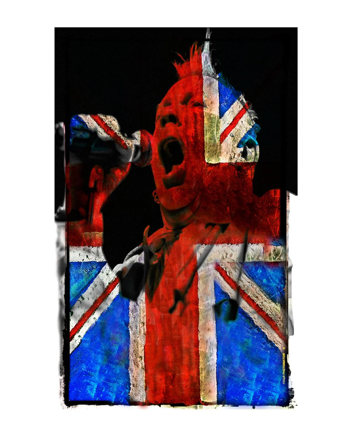 JOHN LYDON SEX PISTOLS Rebel Rock & Roll Ltd Edition Print