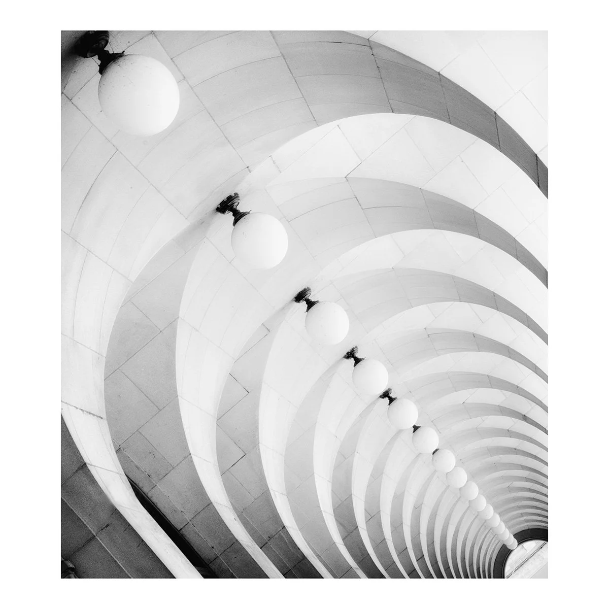 Library Circle Balck and WhiteWeb.jpg