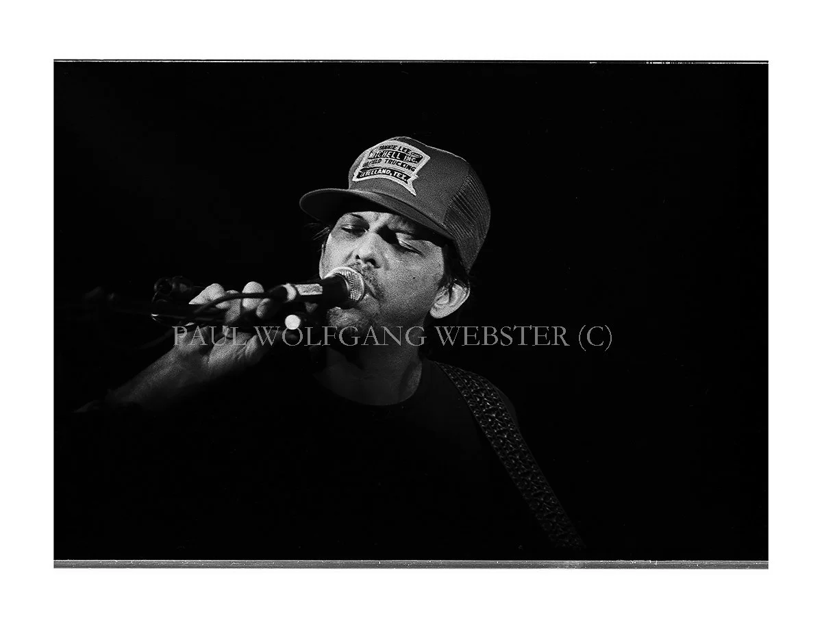 SparkleHorse8-23"x17.5" WEB.jpg