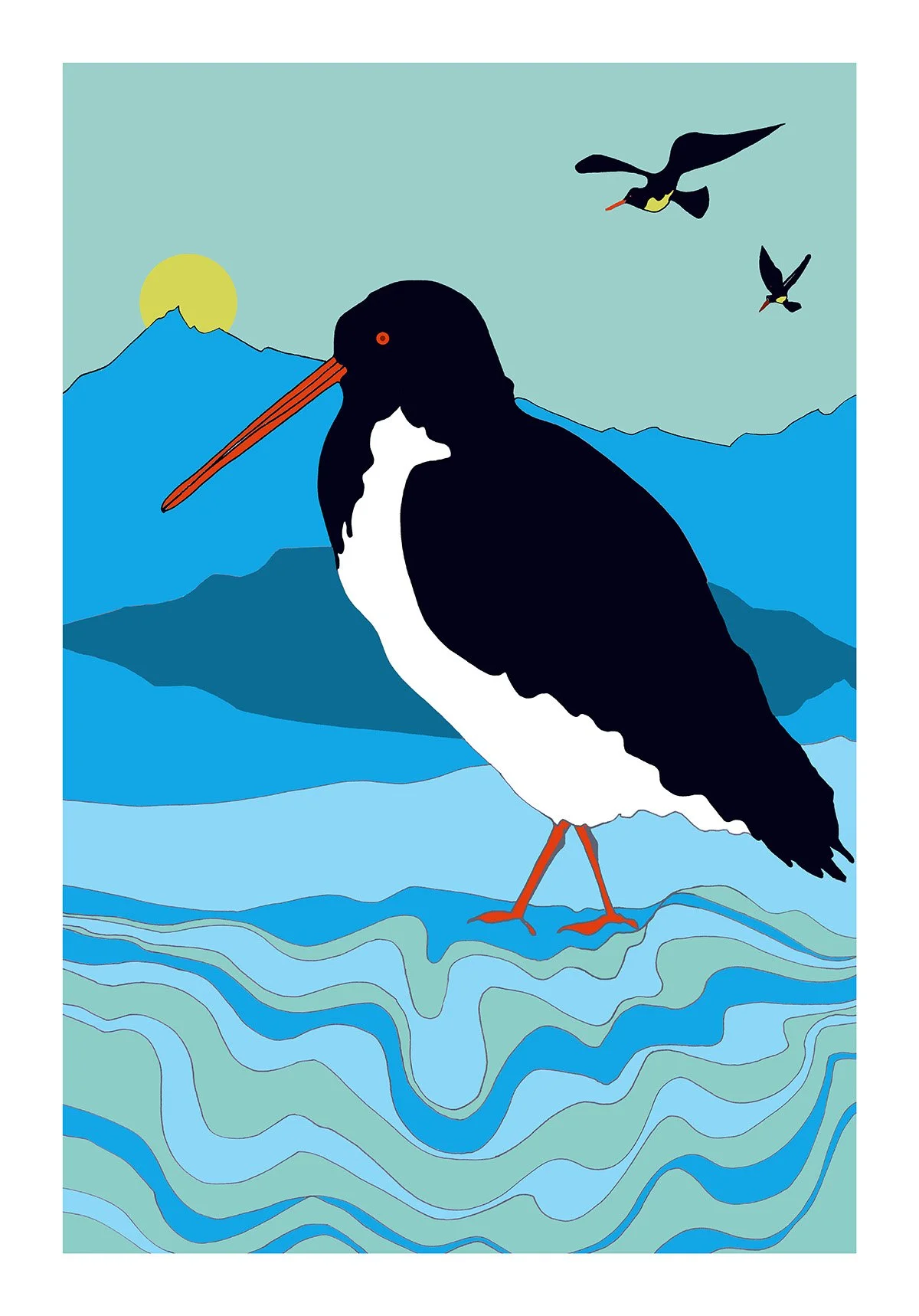Oystercatcher26x18WEB.jpg