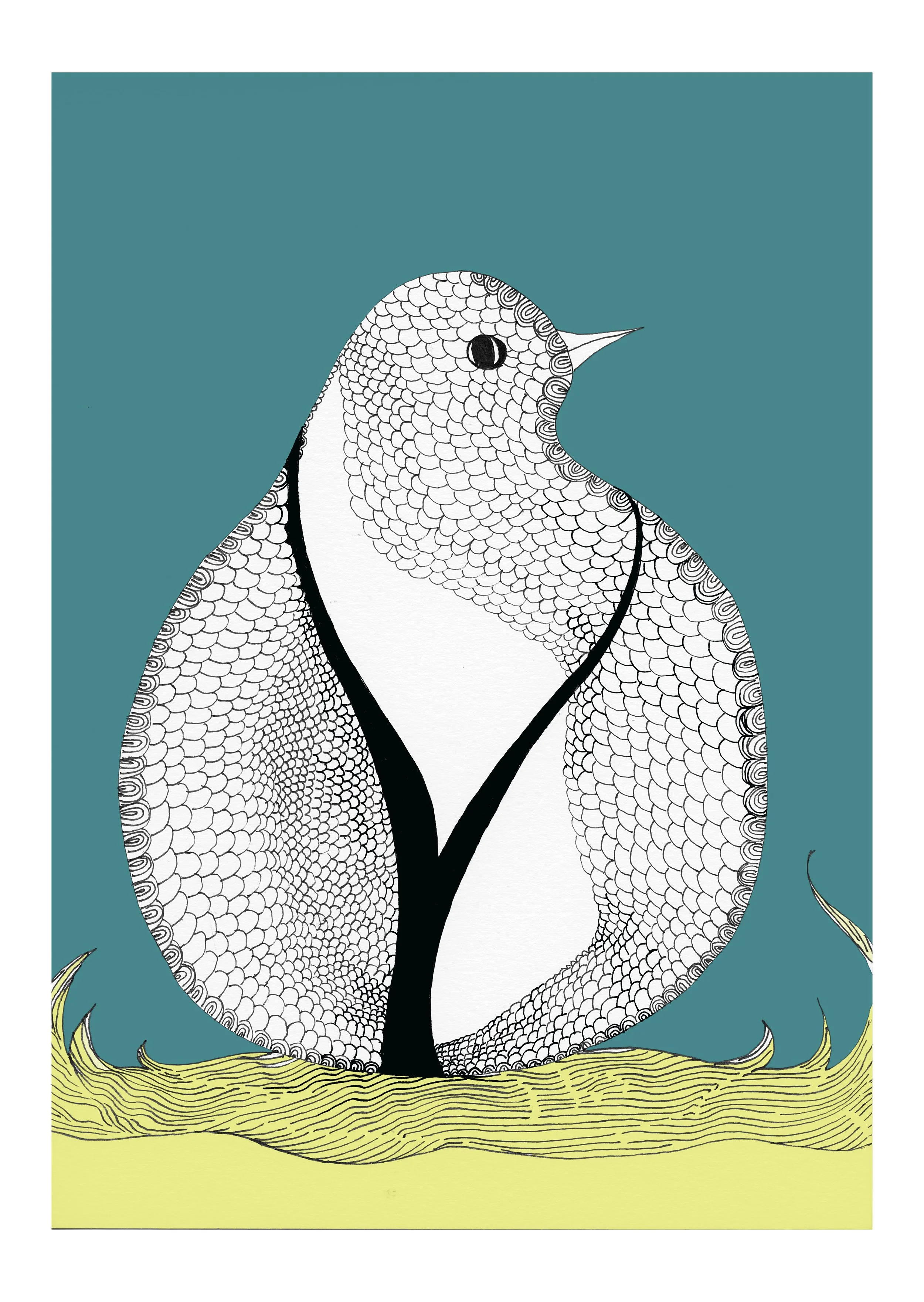 Bird4TealcustardA3border.jpg