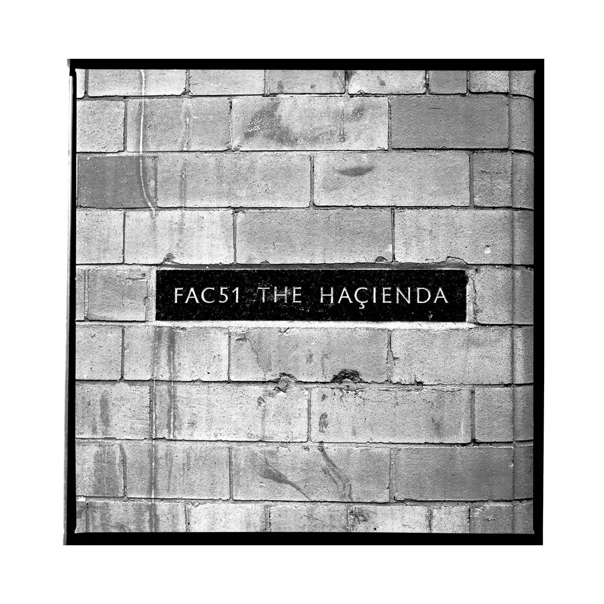 Hacienda19 24"x24"web.jpg