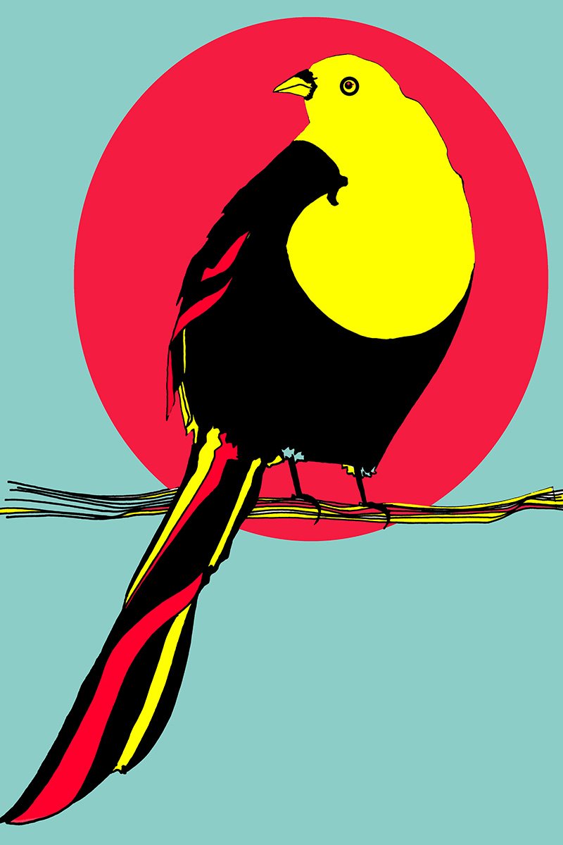 BLasckYellowbirdRedWEB copy.jpg
