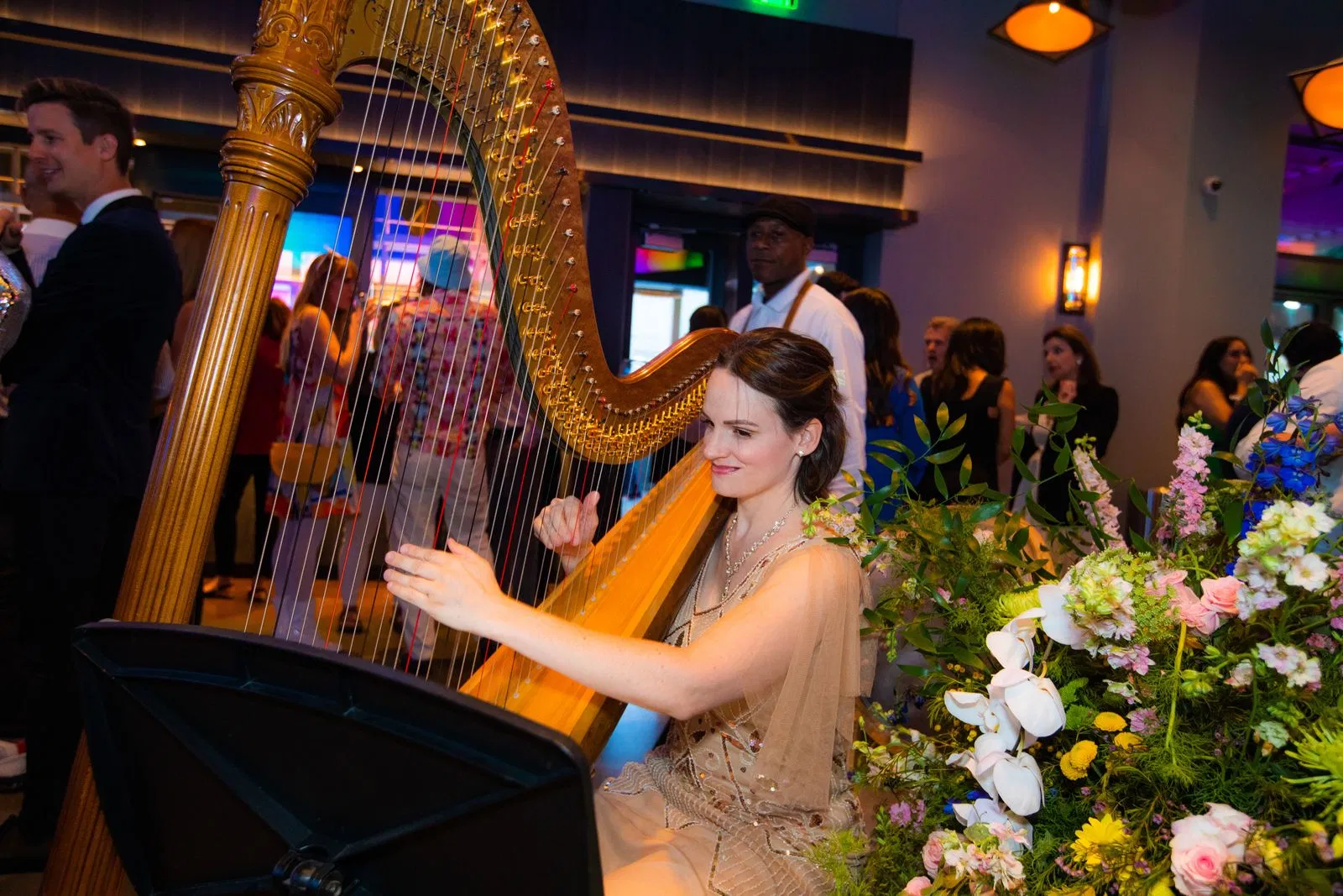 d05ea61b-3dc2-4db1-a157-98586e9c5591-Harpist.png