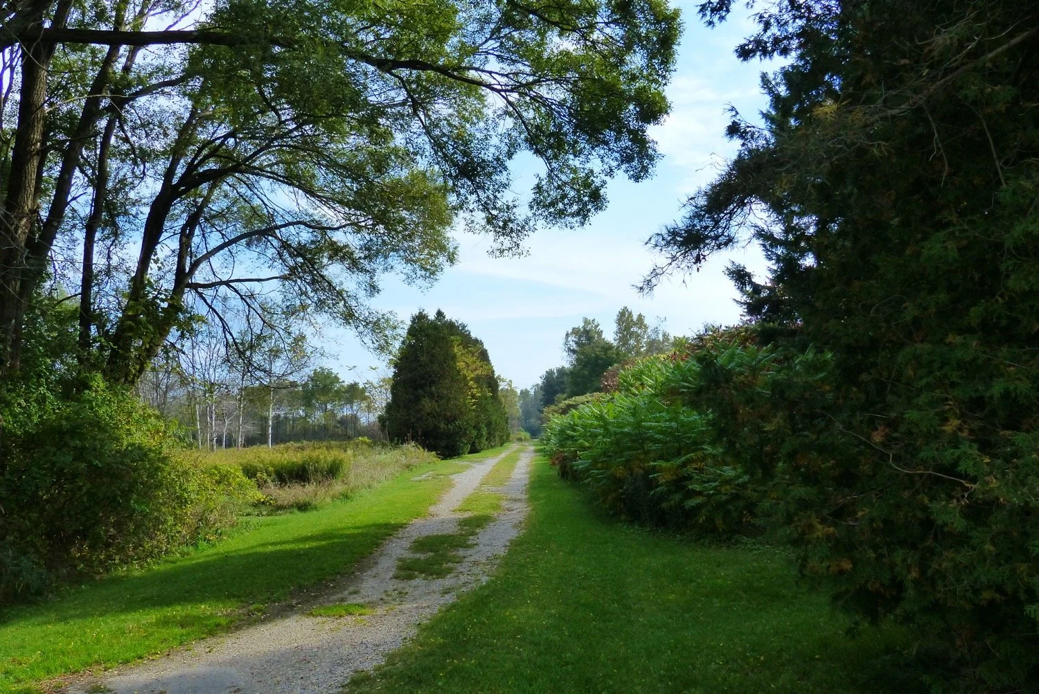 Hiking trail in Fingal Wildlife Management Area