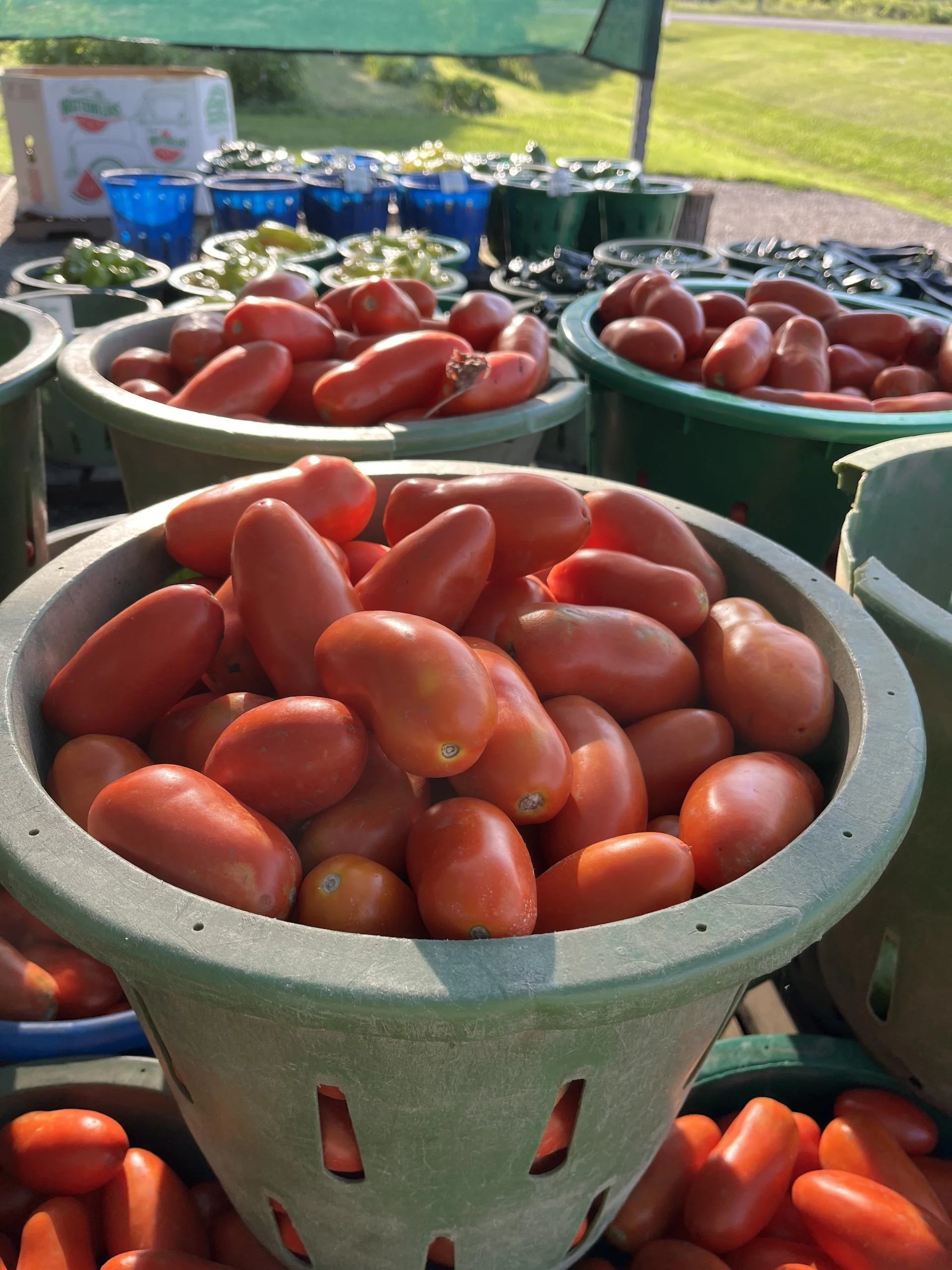 tomatoes at a farmers market