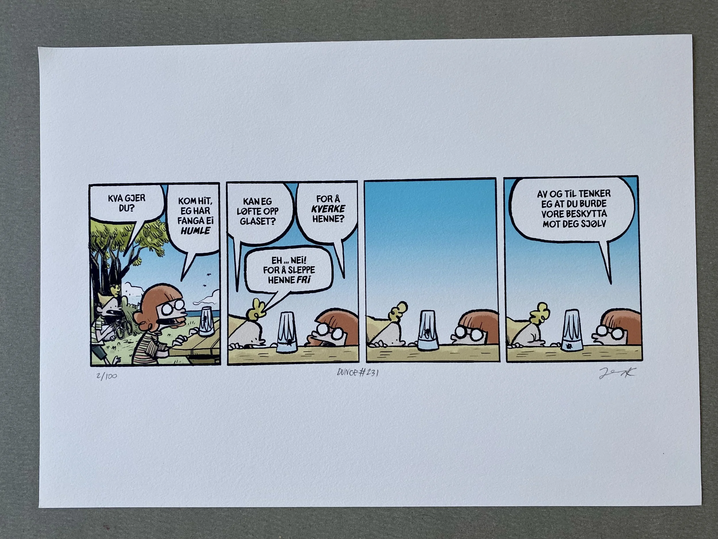 Trykkstørrelse ca A3 bredde.