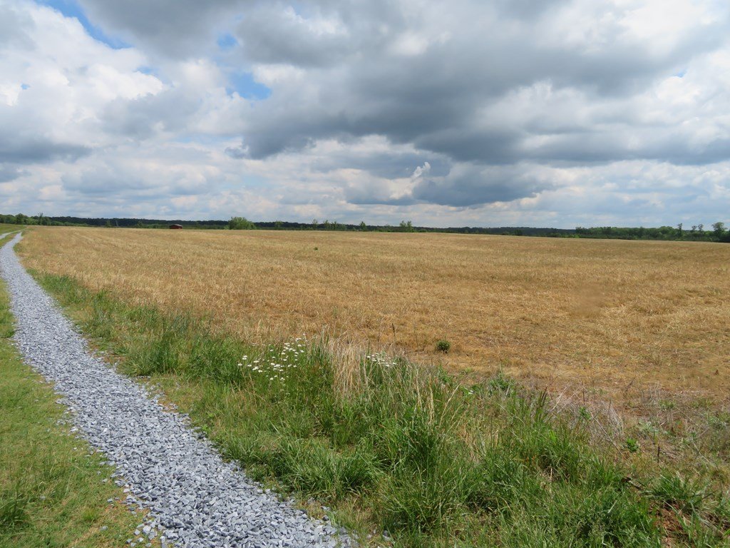 74279_7.jpg