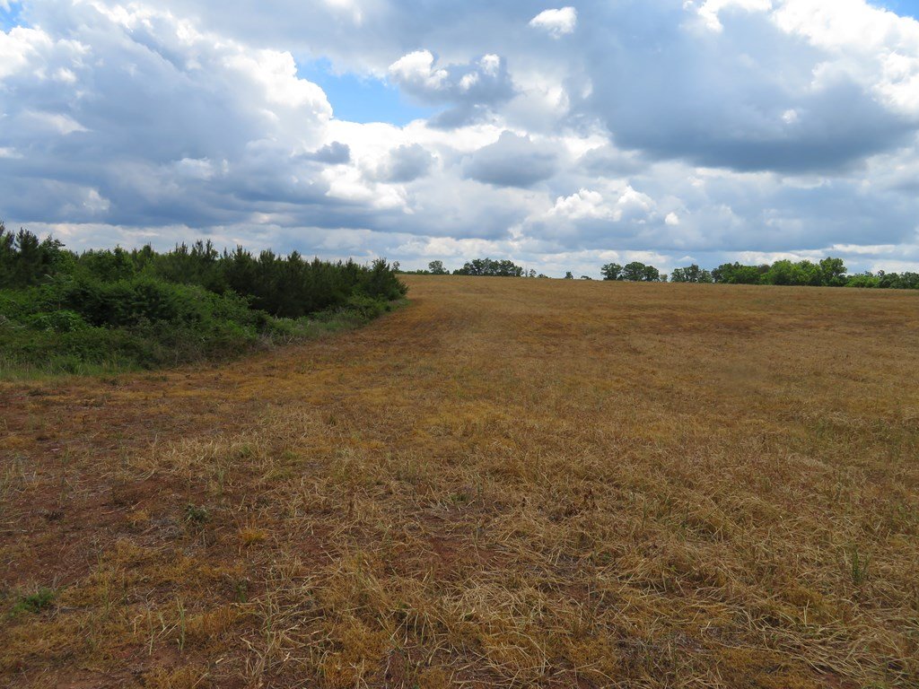 74279_24.jpg