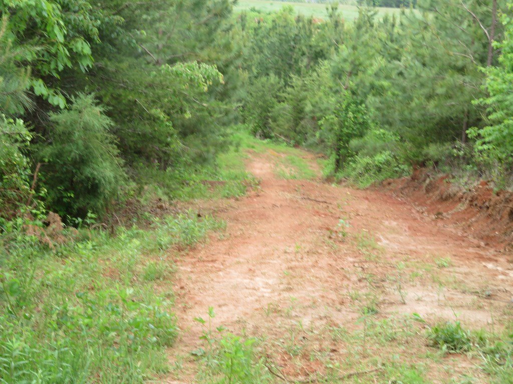 74279_11.jpg