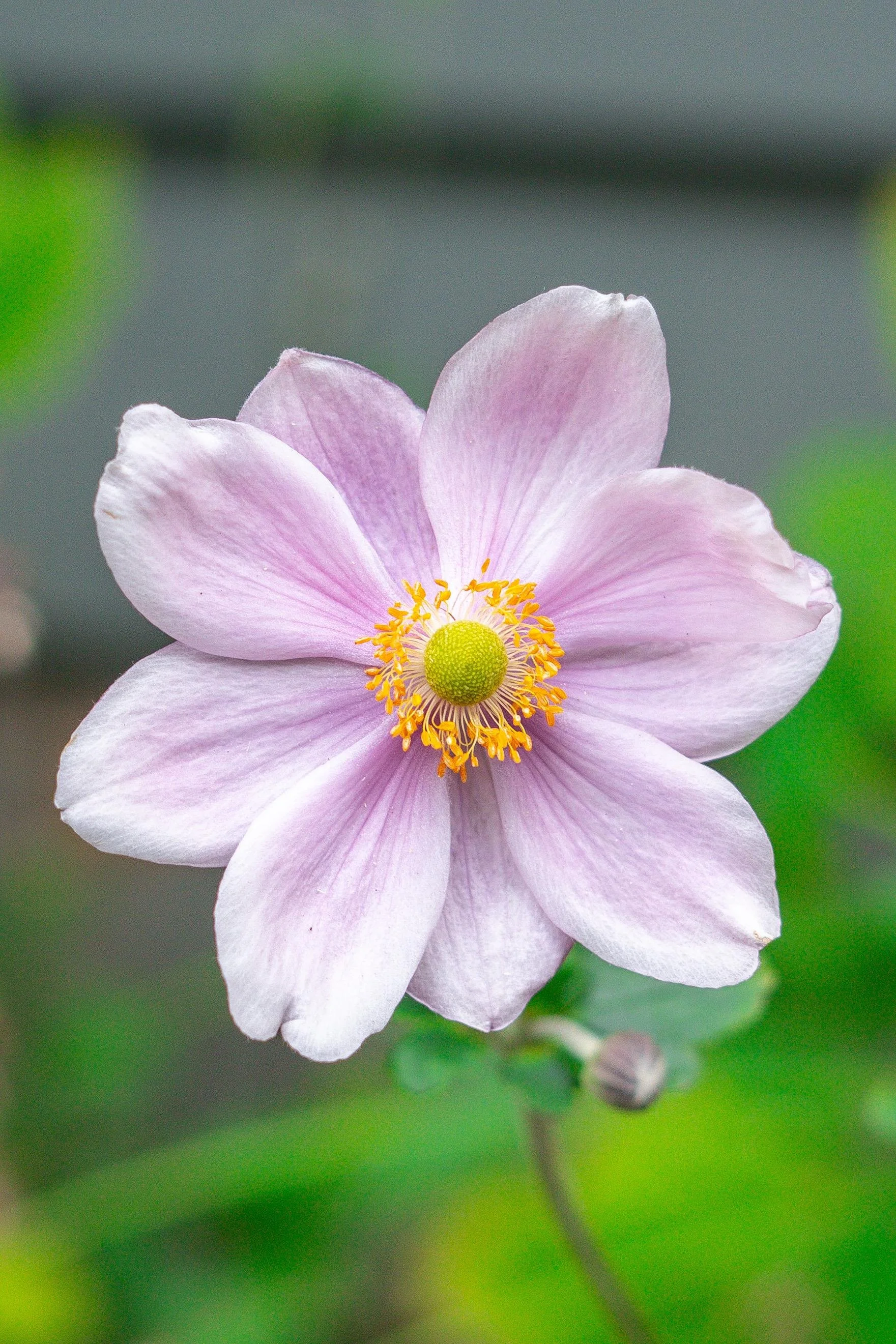 WhatsApp Image 2025-10-06 at 17.17.35.jpeg