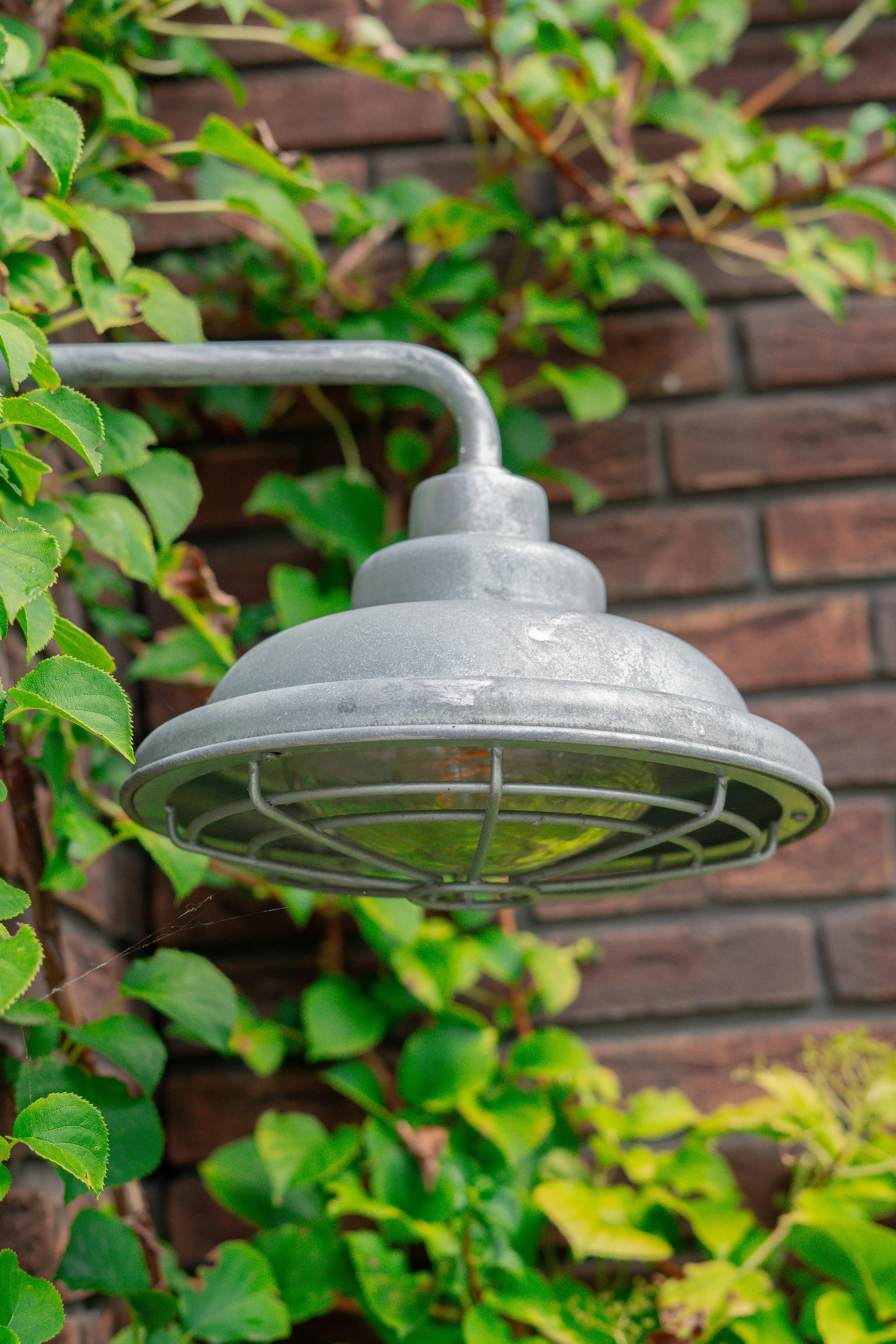 WhatsApp Image 2025-10-06 at 17.17.40 (1).jpeg