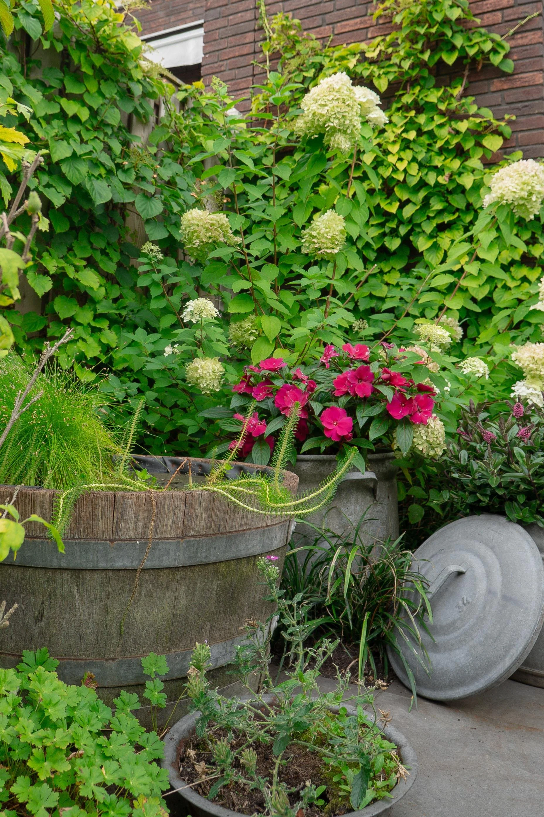 WhatsApp Image 2025-10-06 at 17.17.28.jpeg