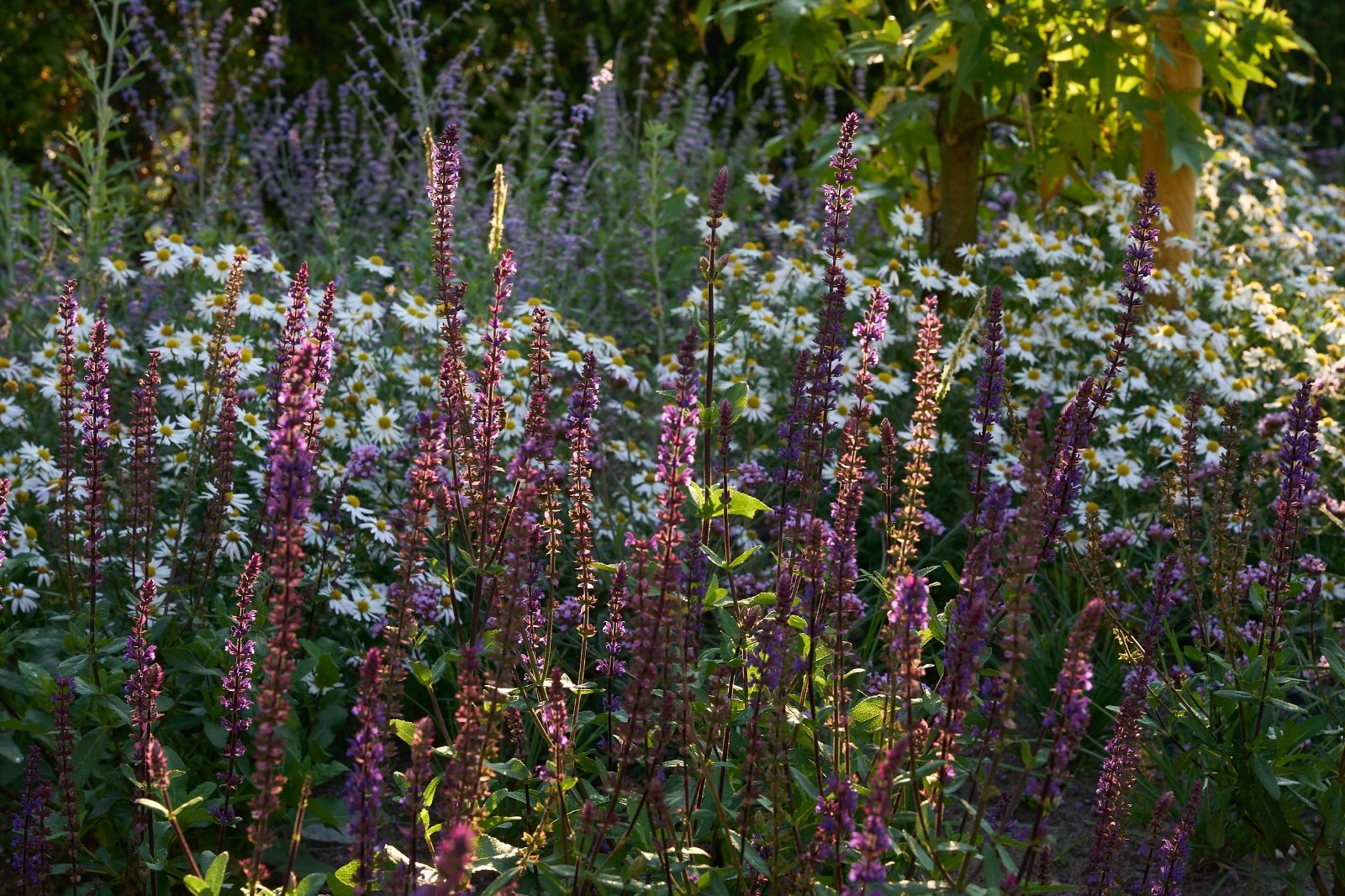 WhatsApp Image 2025-08-21 at 13.31.11 (5).jpeg