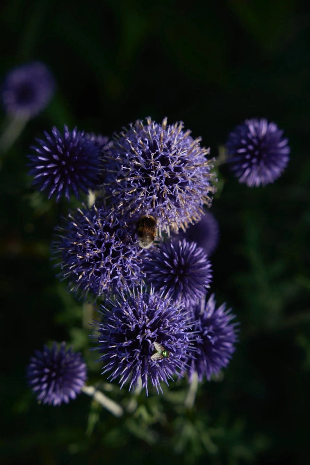 WhatsApp Image 2025-08-21 at 13.25.18 (8).jpeg