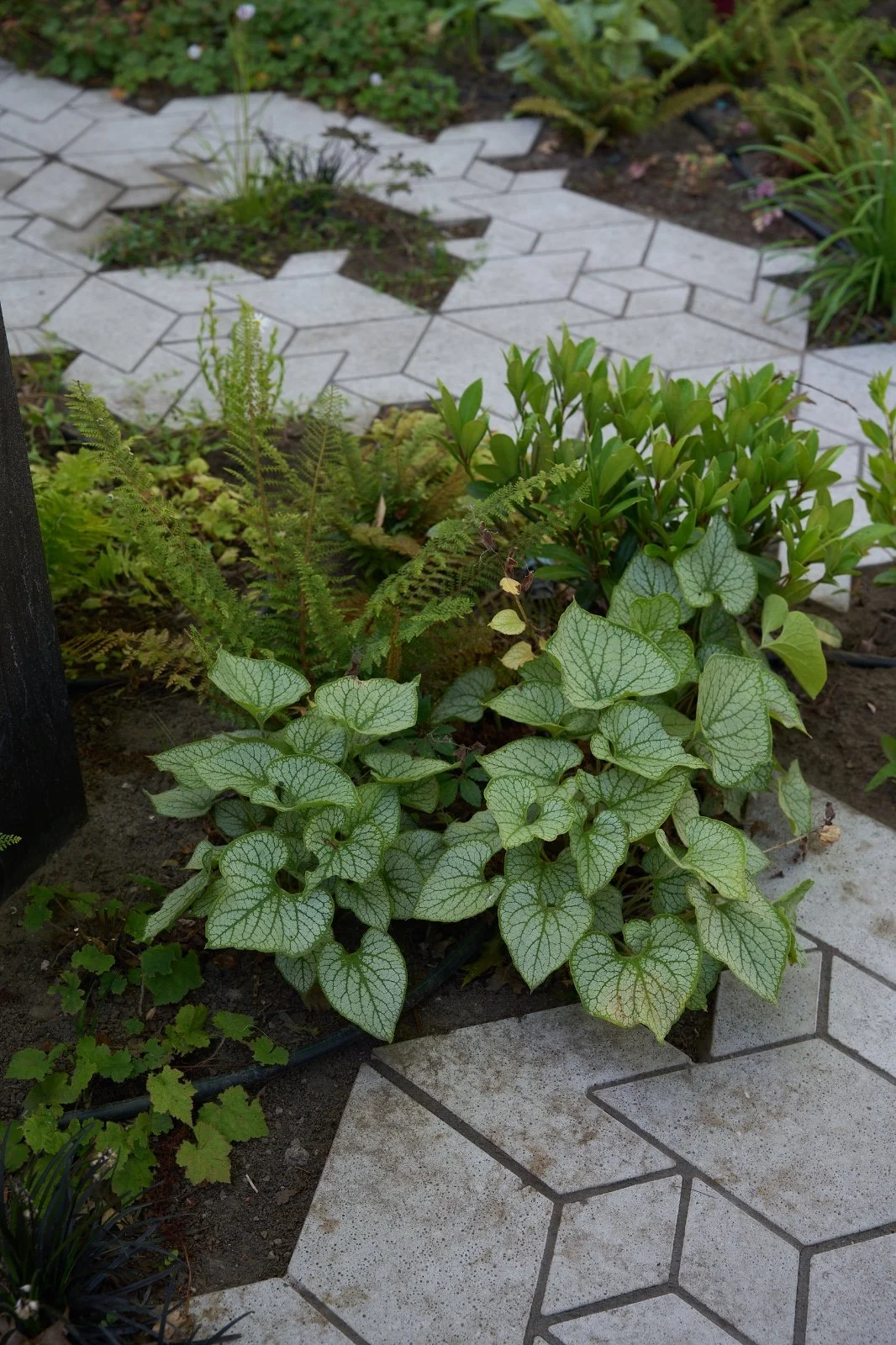 WhatsApp Image 2025-08-21 at 13.26.23.jpeg