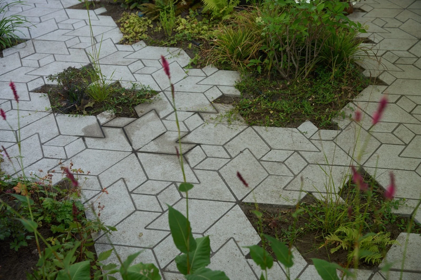 WhatsApp Image 2025-08-21 at 13.26.25 (6).jpeg