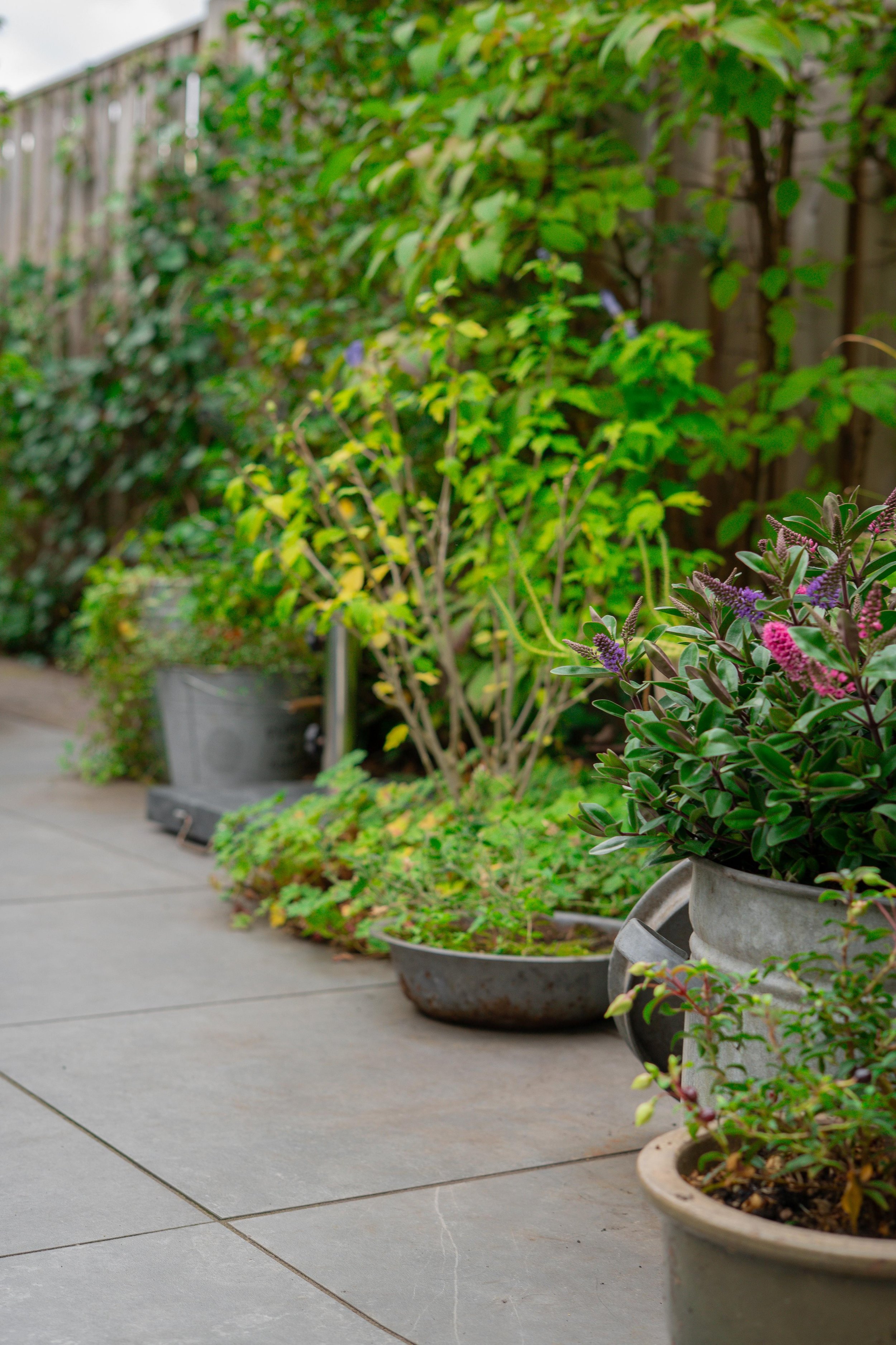 WhatsApp Image 2025-10-06 at 17.17.34.jpeg