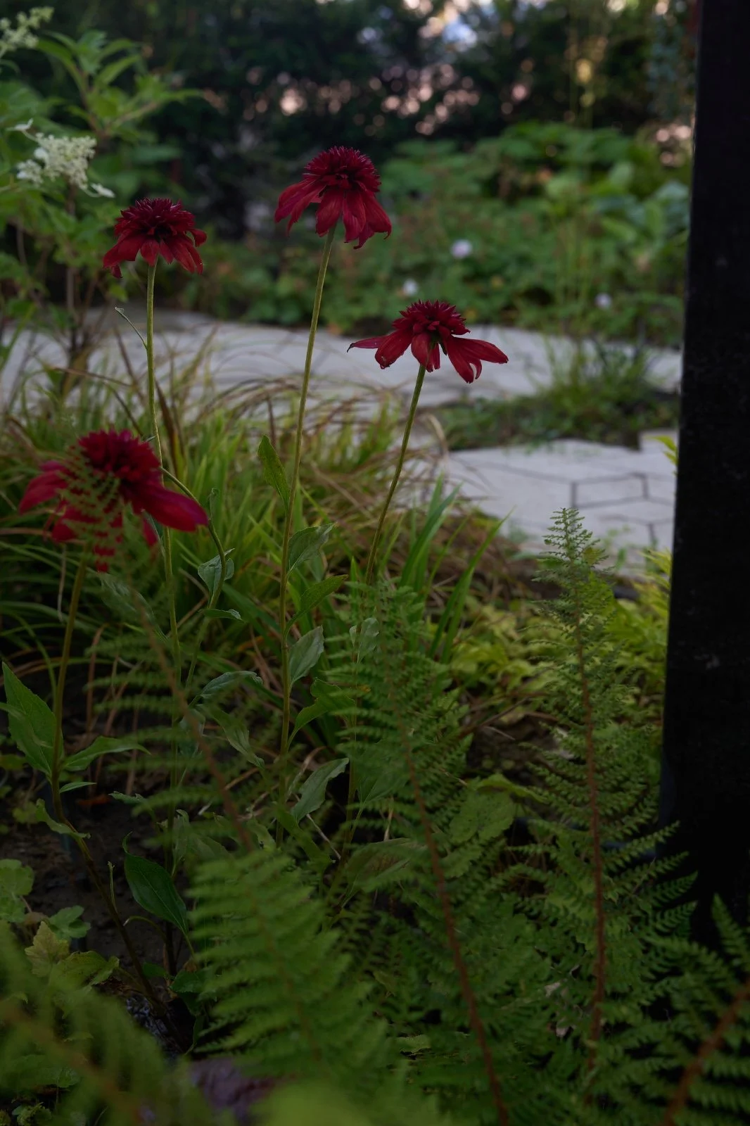 WhatsApp Image 2025-08-21 at 13.26.26 (2).jpeg