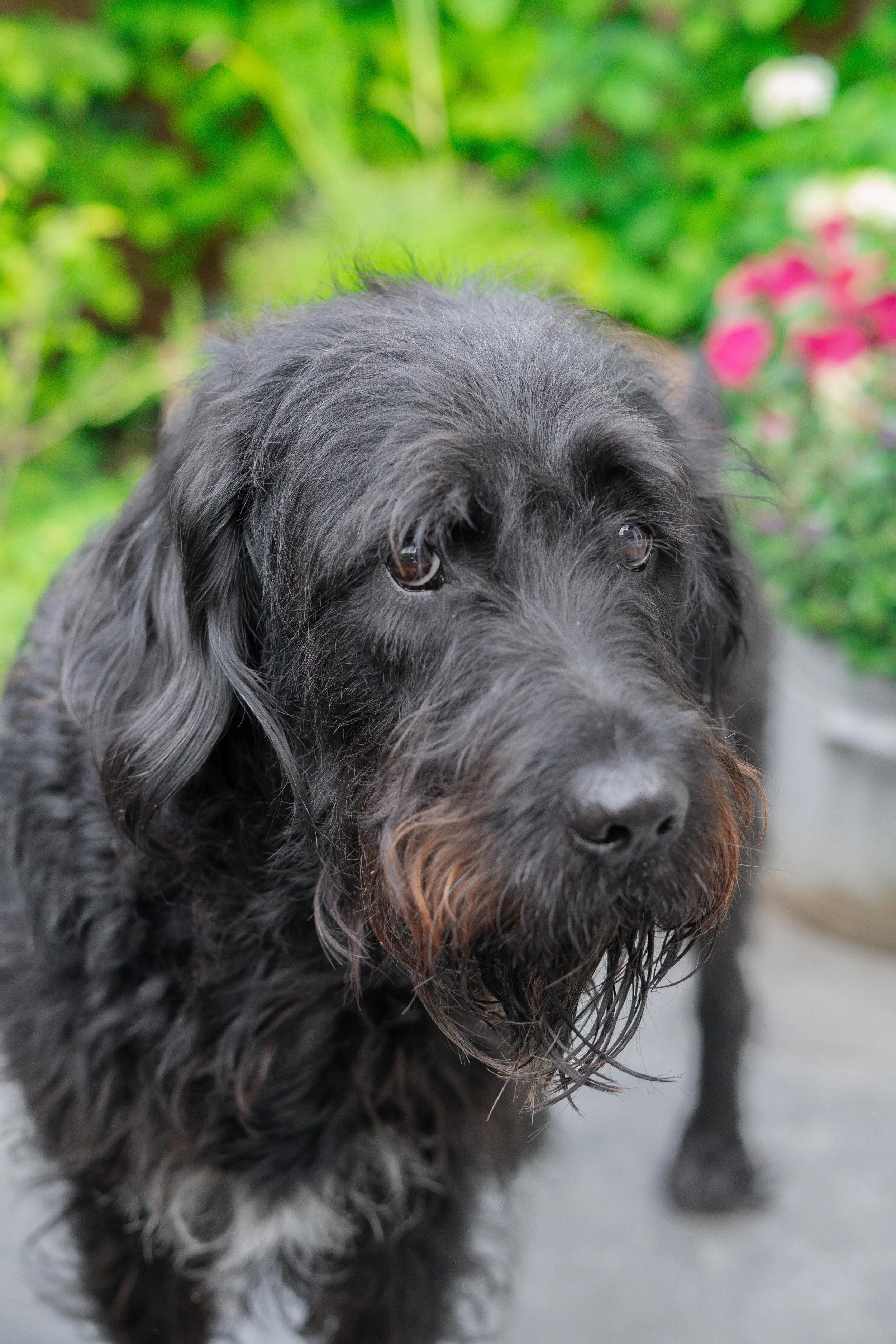 WhatsApp Image 2025-10-06 at 17.17.39 (4).jpeg