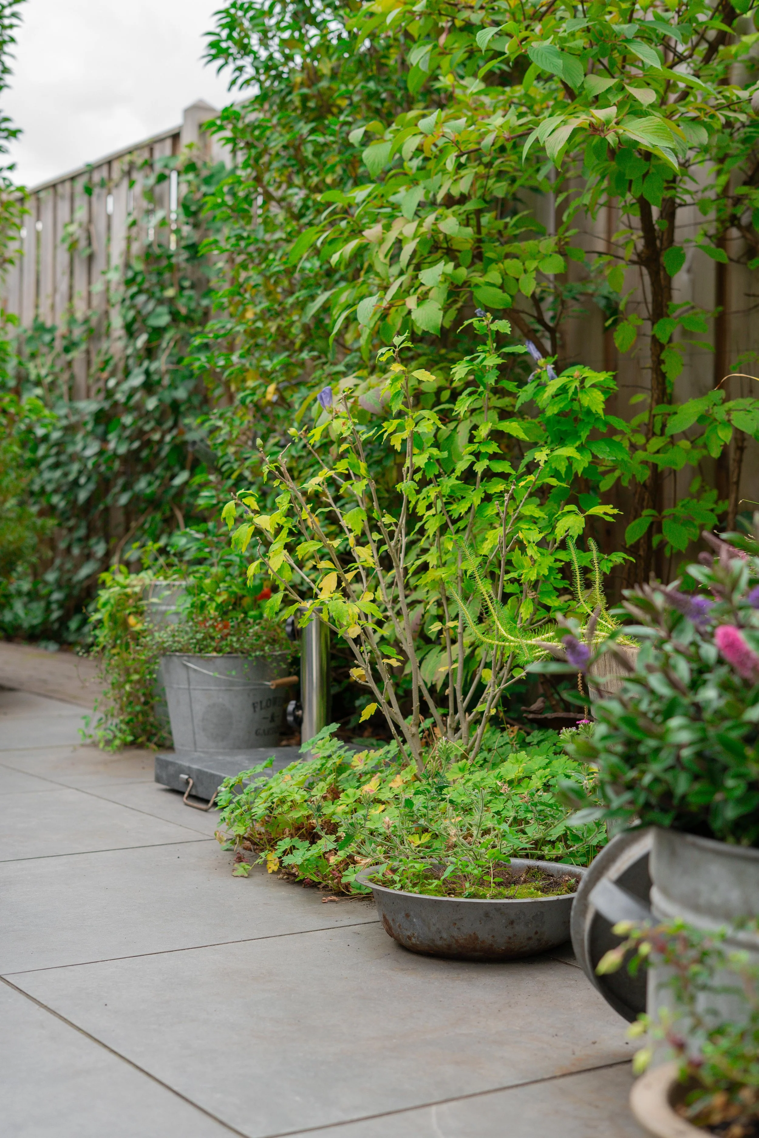 WhatsApp Image 2025-10-06 at 17.17.33.jpeg