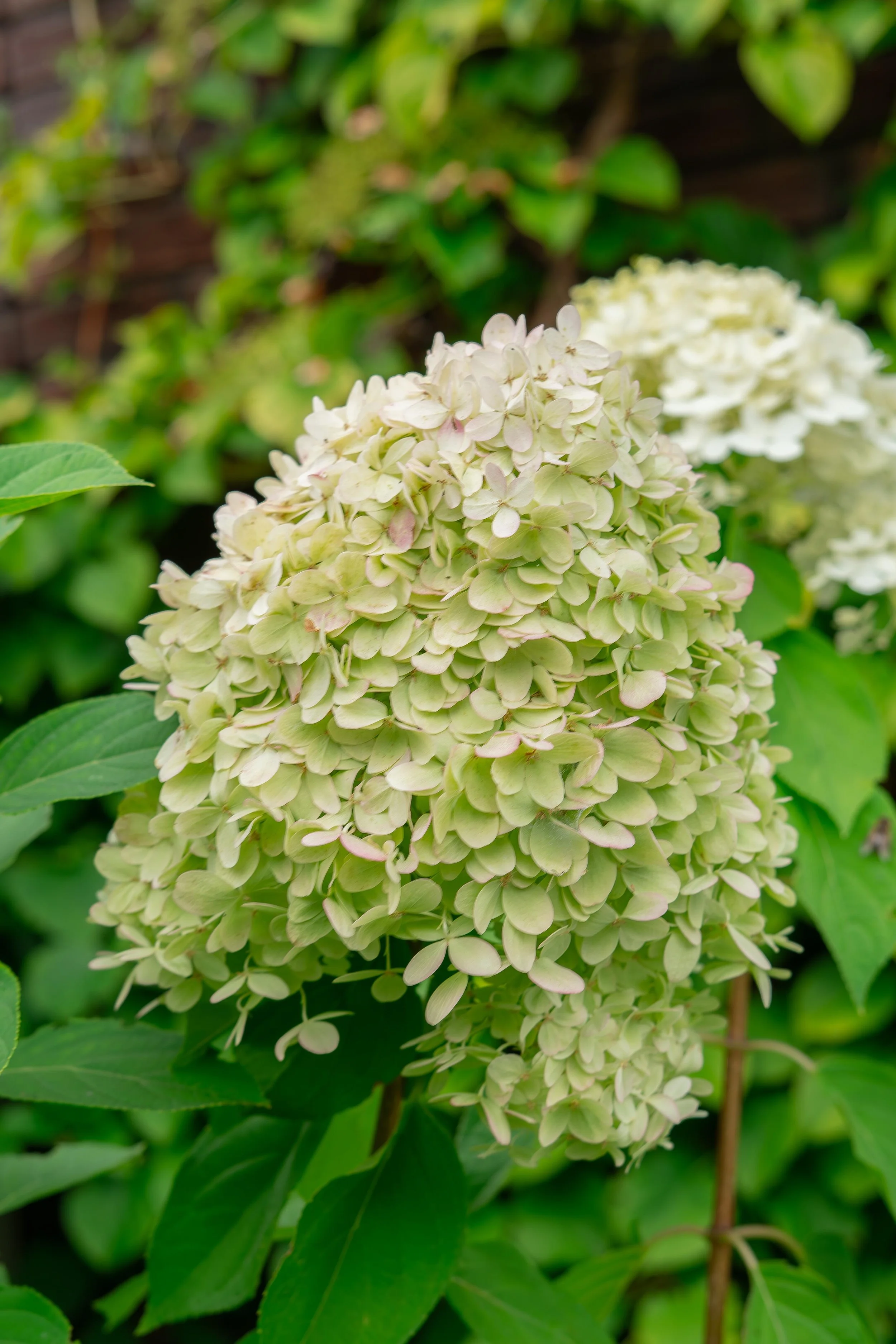 WhatsApp Image 2025-10-06 at 17.17.34 (1).jpeg