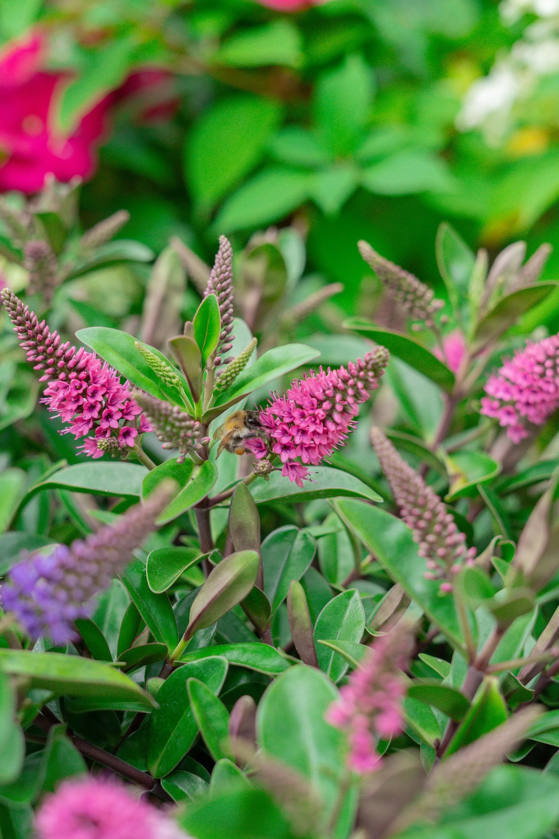 WhatsApp Image 2025-10-06 at 17.17.39 (5).jpeg