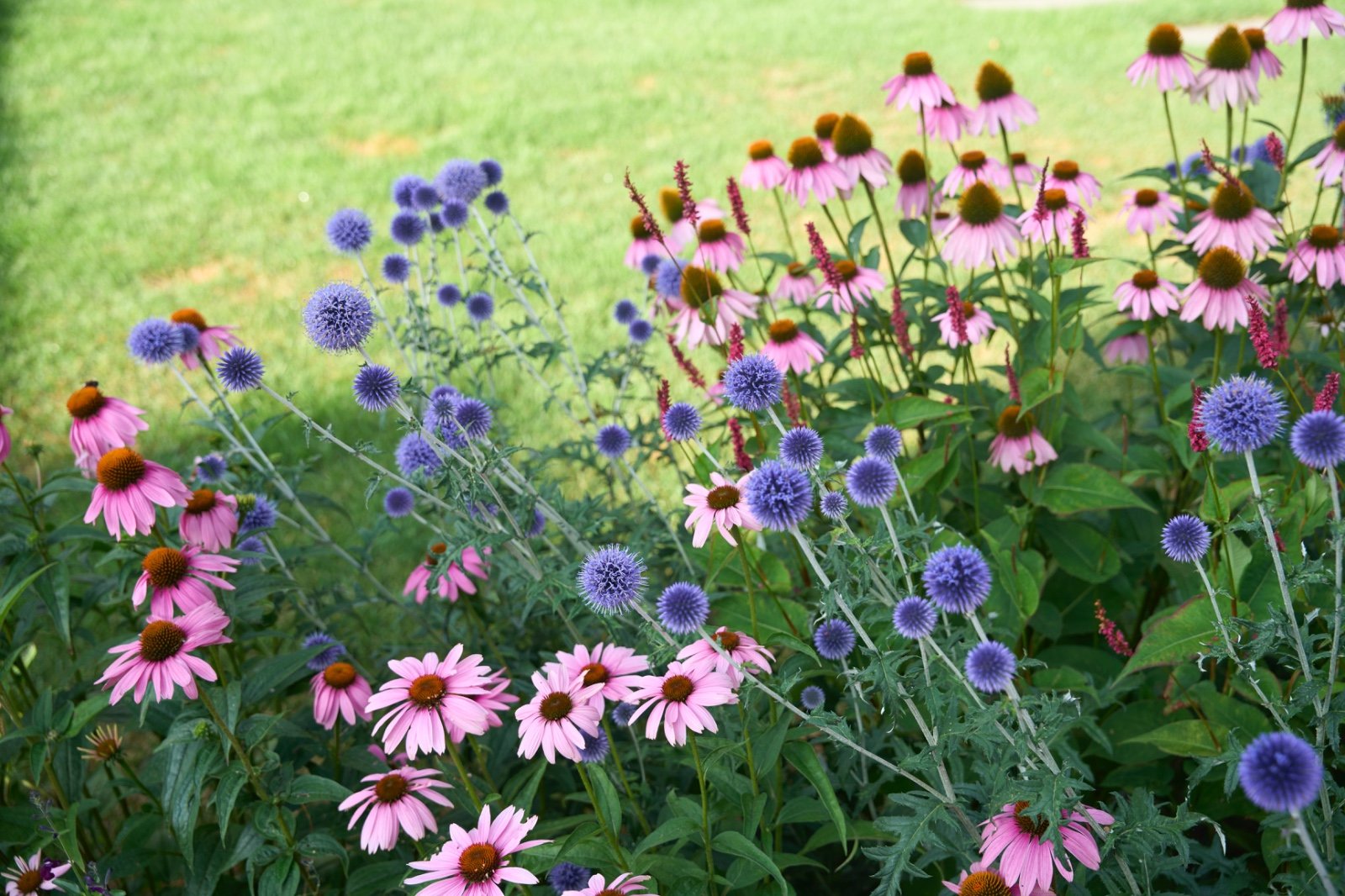 WhatsApp Image 2025-08-21 at 13.25.18 (5).jpeg