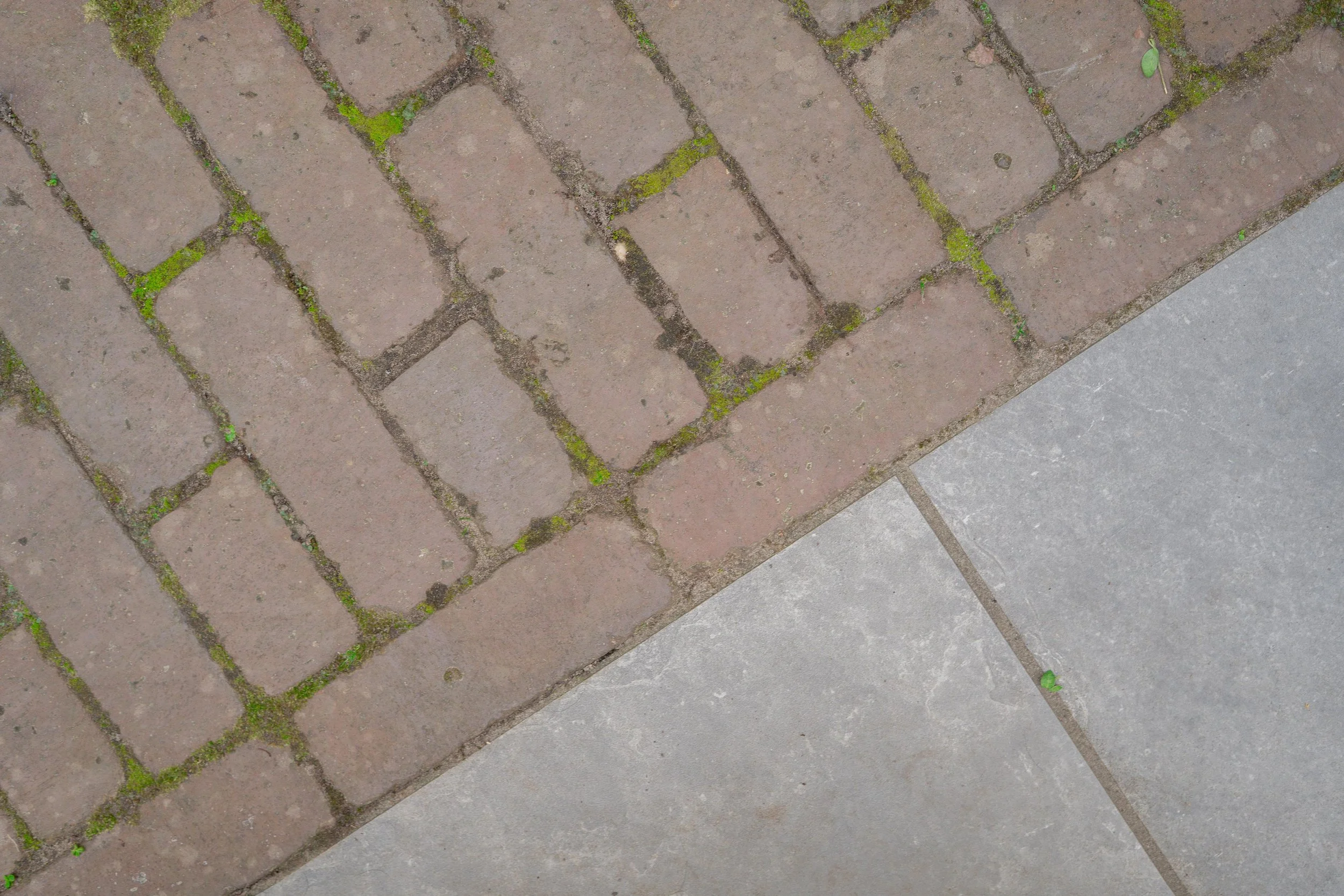 WhatsApp Image 2025-10-06 at 17.17.39.jpeg