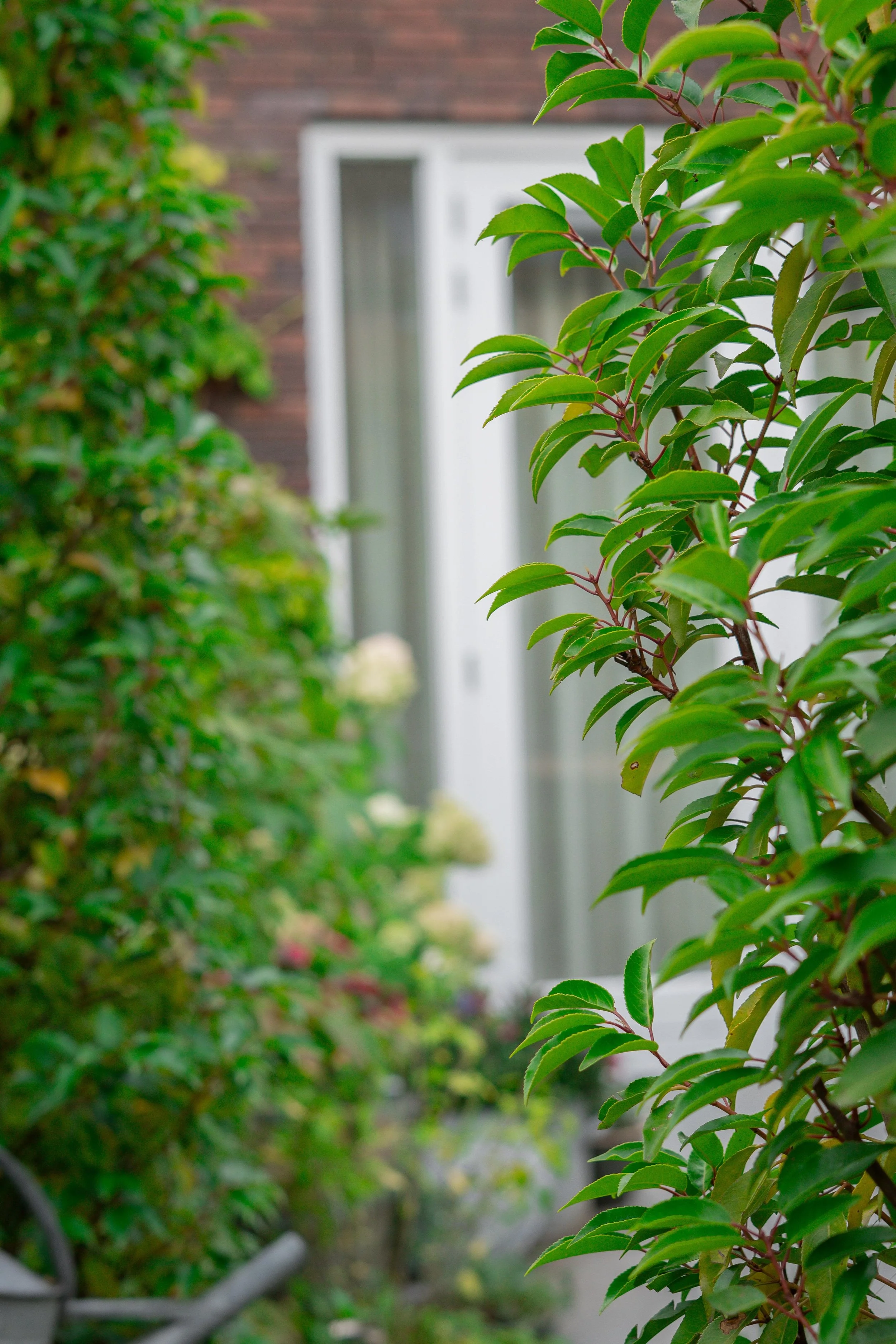 WhatsApp Image 2025-10-06 at 17.17.39 (3).jpeg