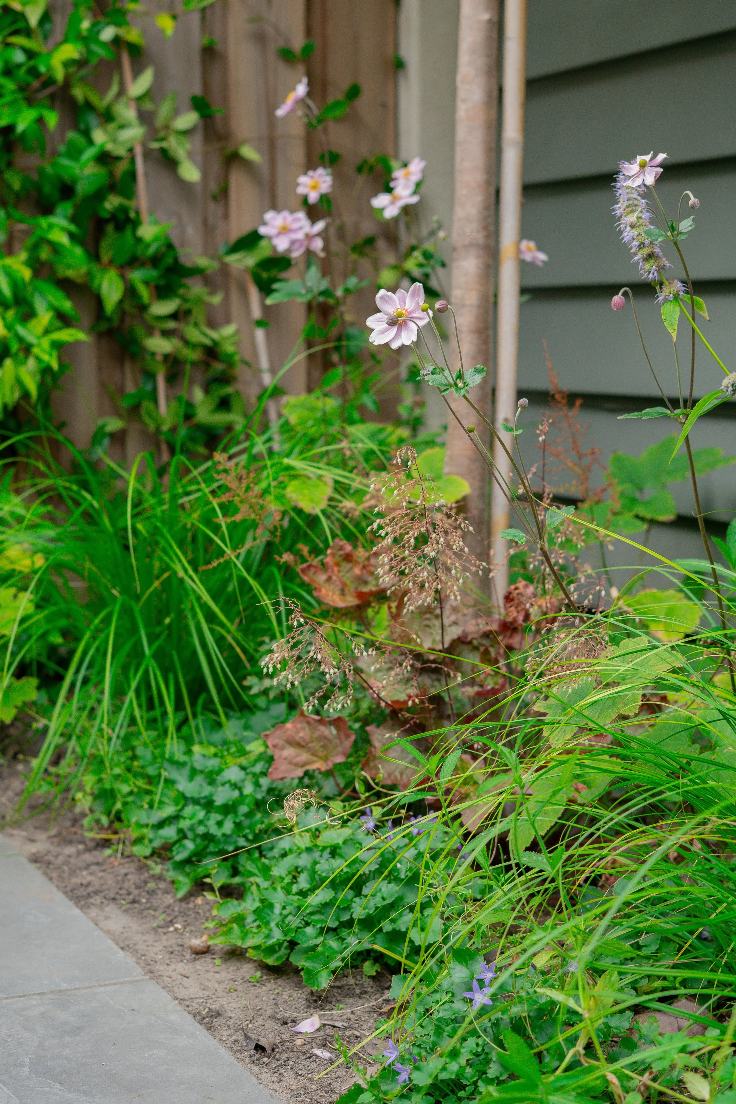 WhatsApp Image 2025-10-06 at 17.17.28 (1).jpeg