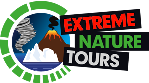 logo ENT_300x167.png