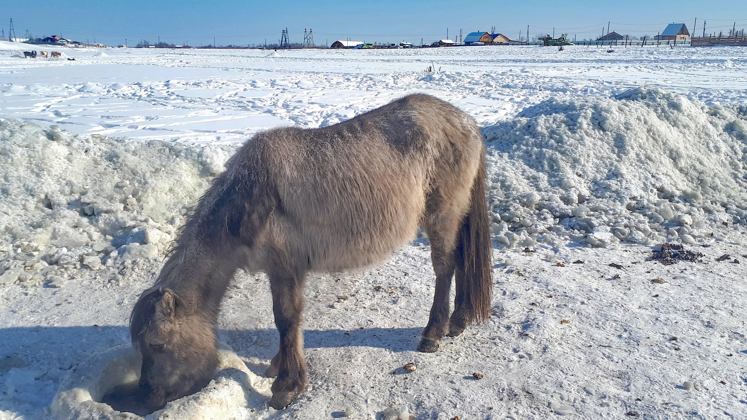 20180316_114320 copy.jpg