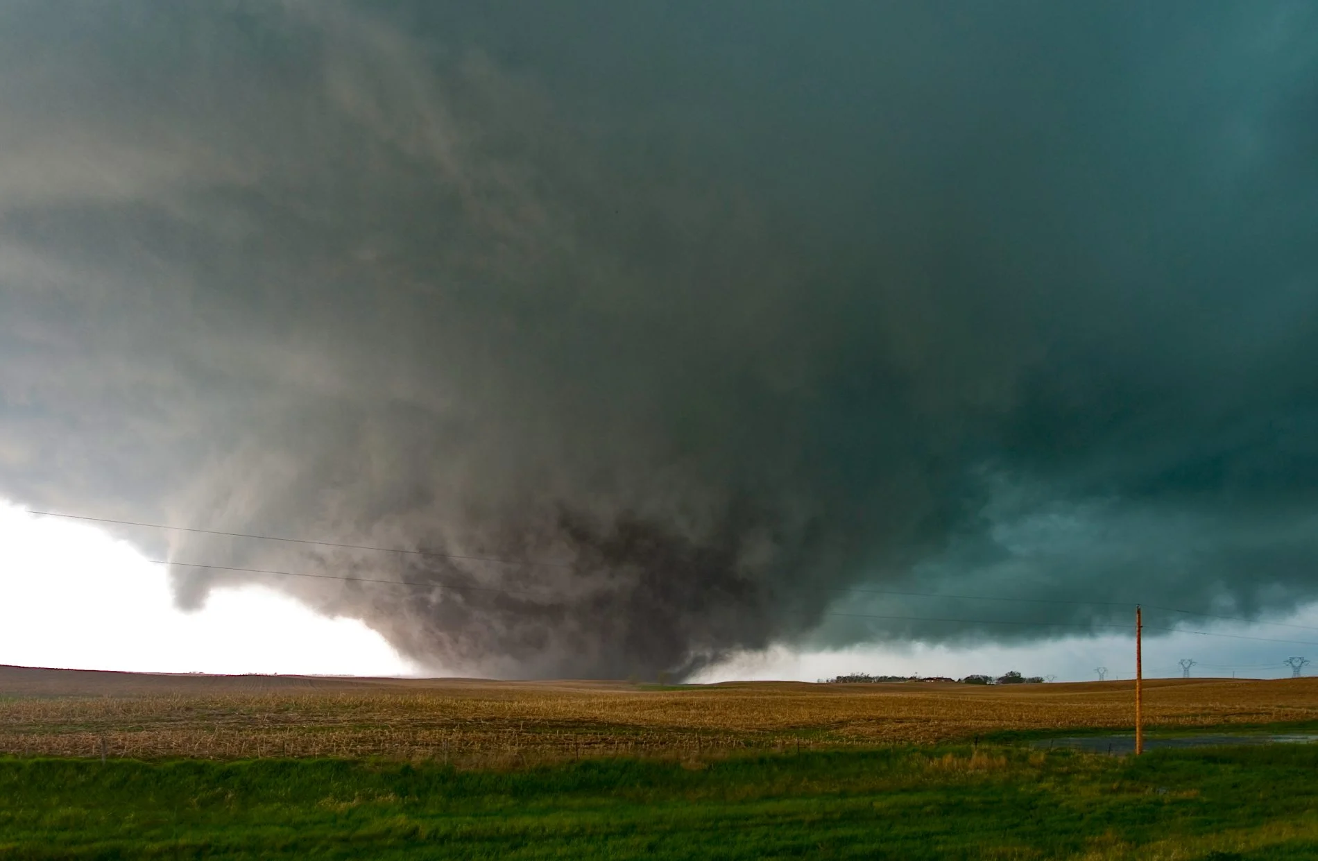 Arno_Laffe_F4 - kopie.jpg