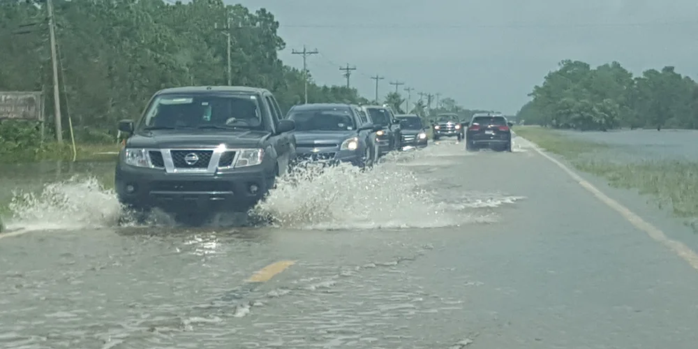 20170911_130847 copy.jpg