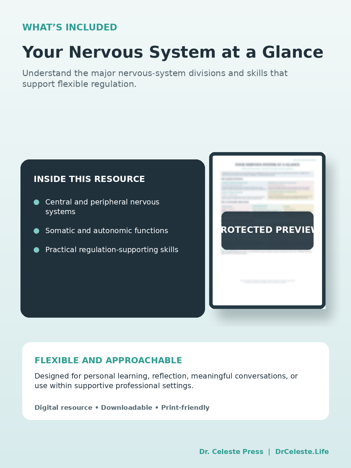 Nervous_System_Map_and_Regulation_Skills_02_Whats_Included.png