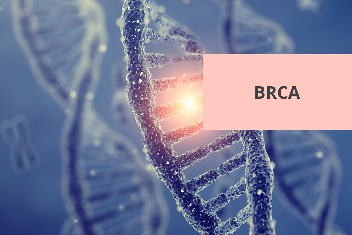 What If Estrogen Isn’t the Enemy in BRCA?