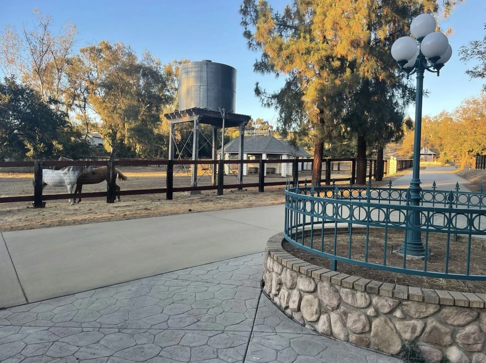 A horse standing in a fenced area next to a water tank with trees and a building in the background, sunlight illuminating the scene.