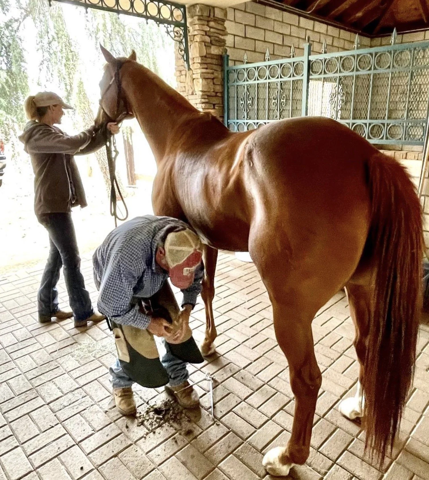 Two people are grooming a chestnut horse, with one person at the horse's head and the other checking its hoof, on a brick-paved area near a stone wall and decorative metal fencing.