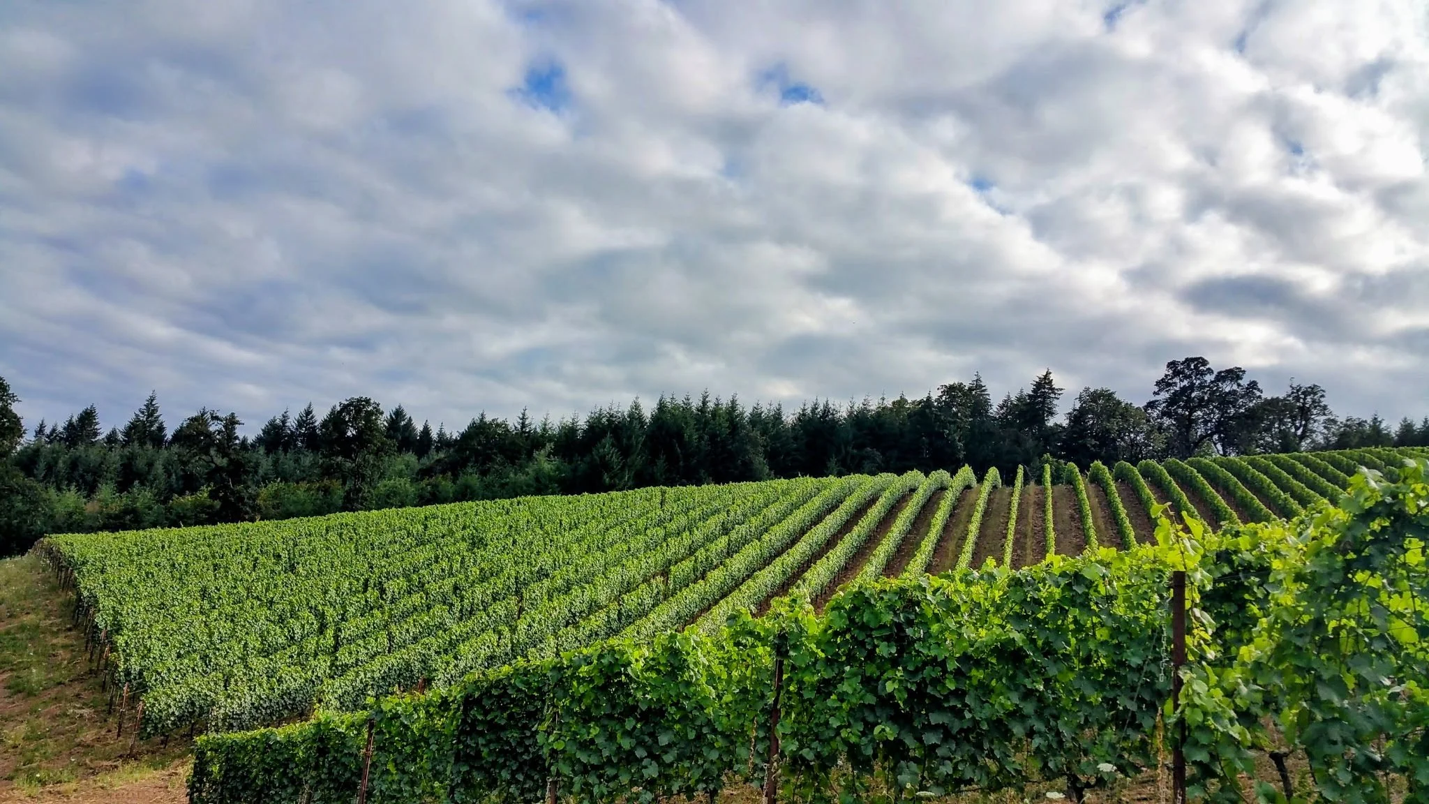 Stardance views2.JPG