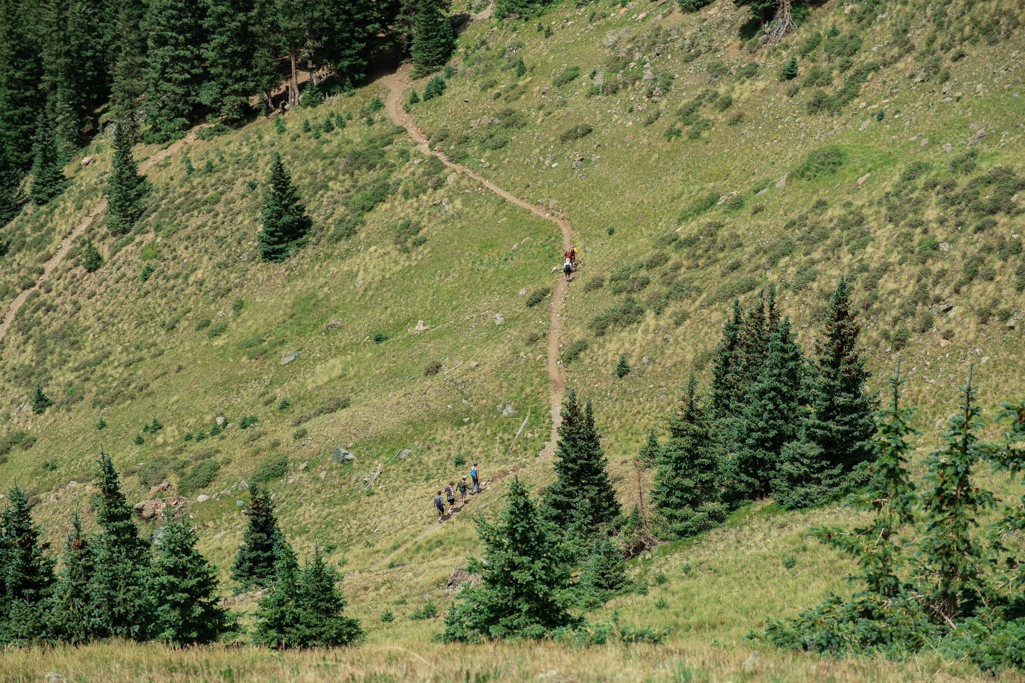 DSCF3175.jpg