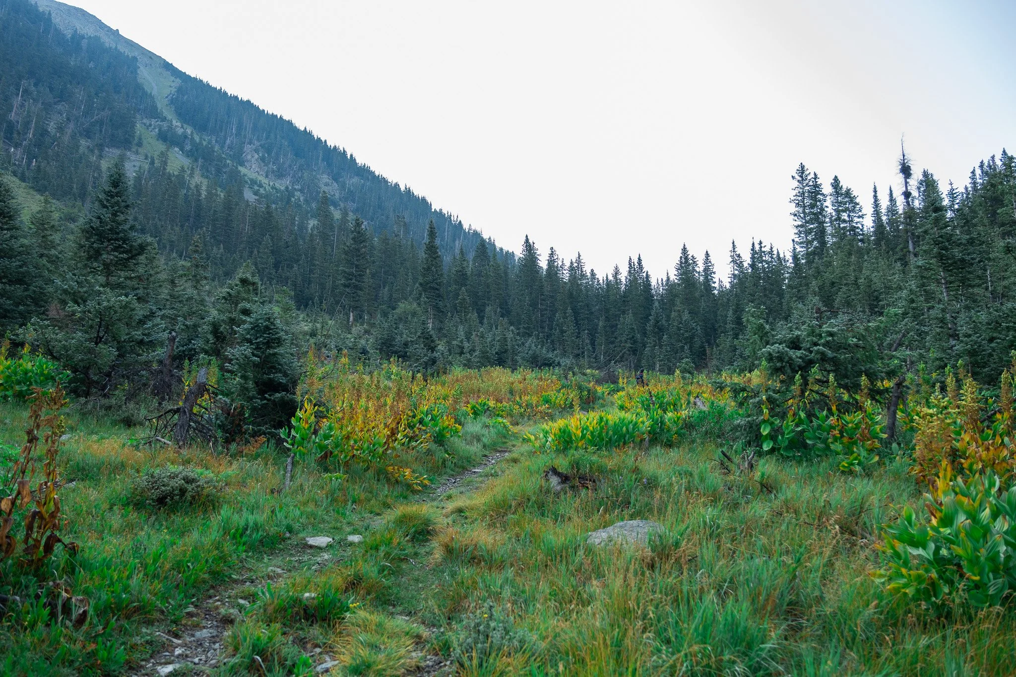 DSCF2970.jpg