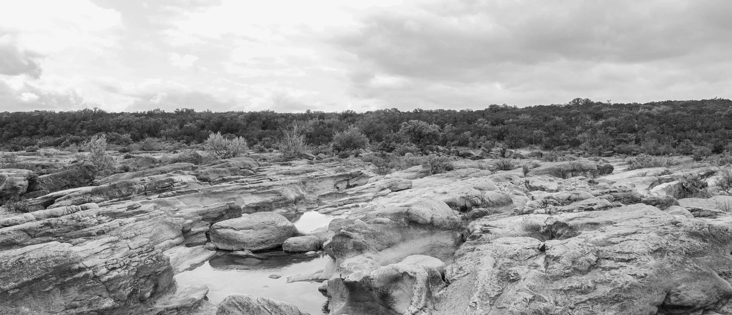 DSCF8435.jpg
