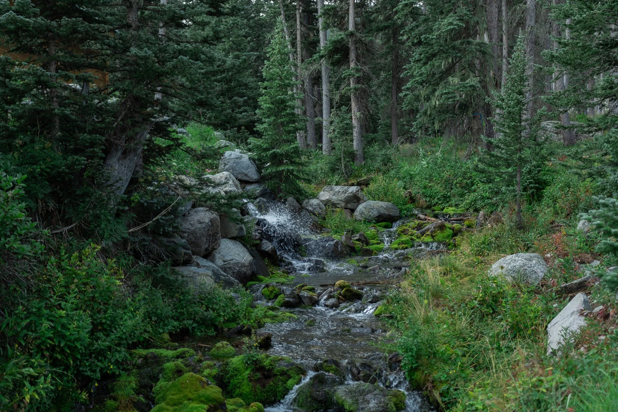 DSCF2959.jpg