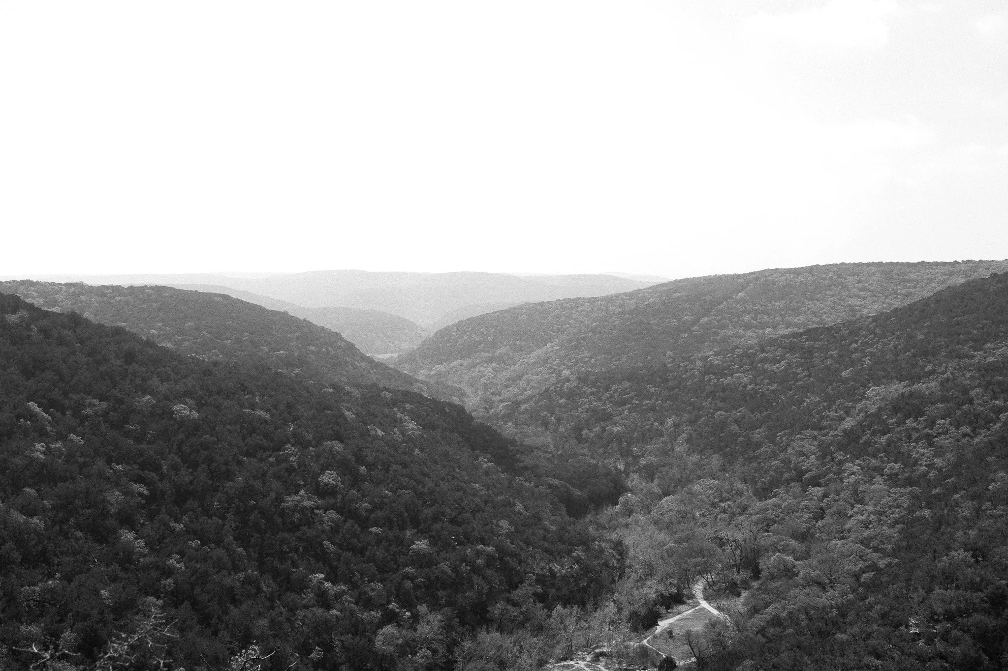 DSCF7581.jpg