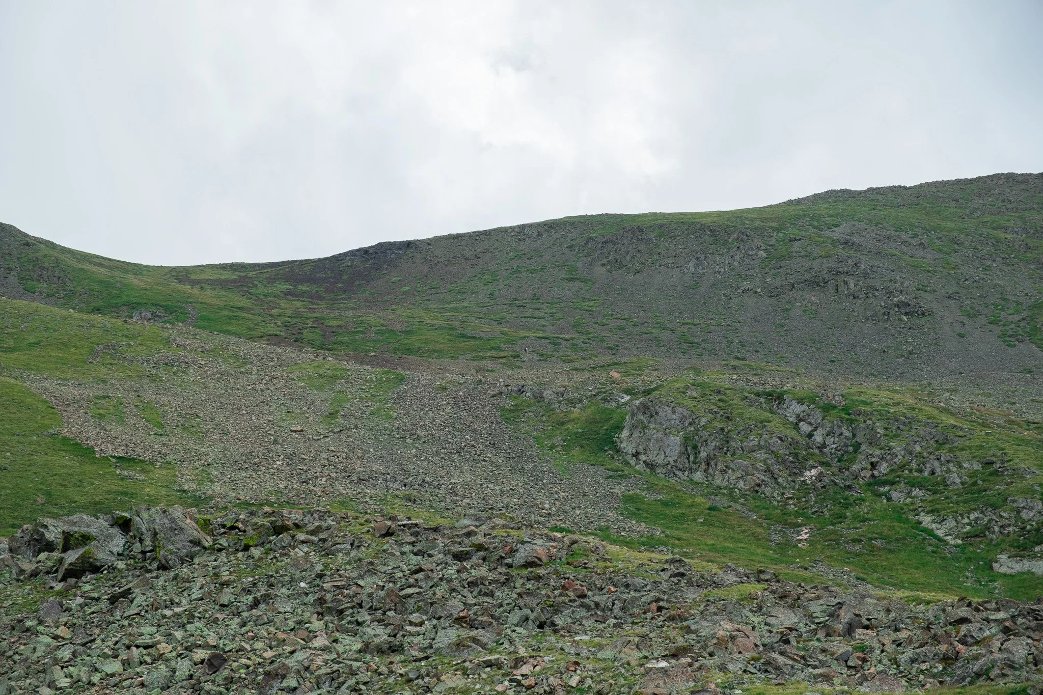 DSCF3180.jpg