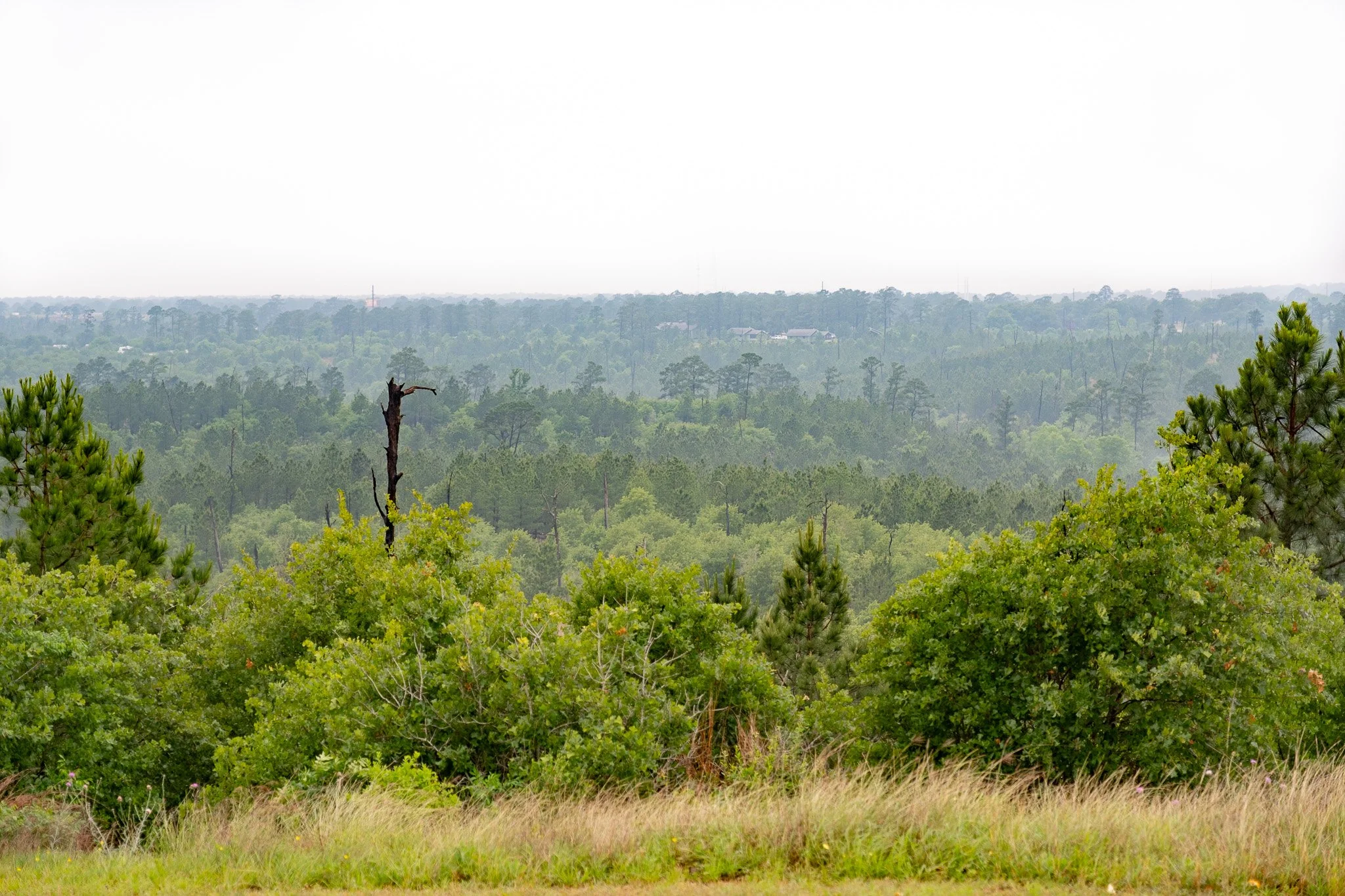 DSCF8913-2.jpg