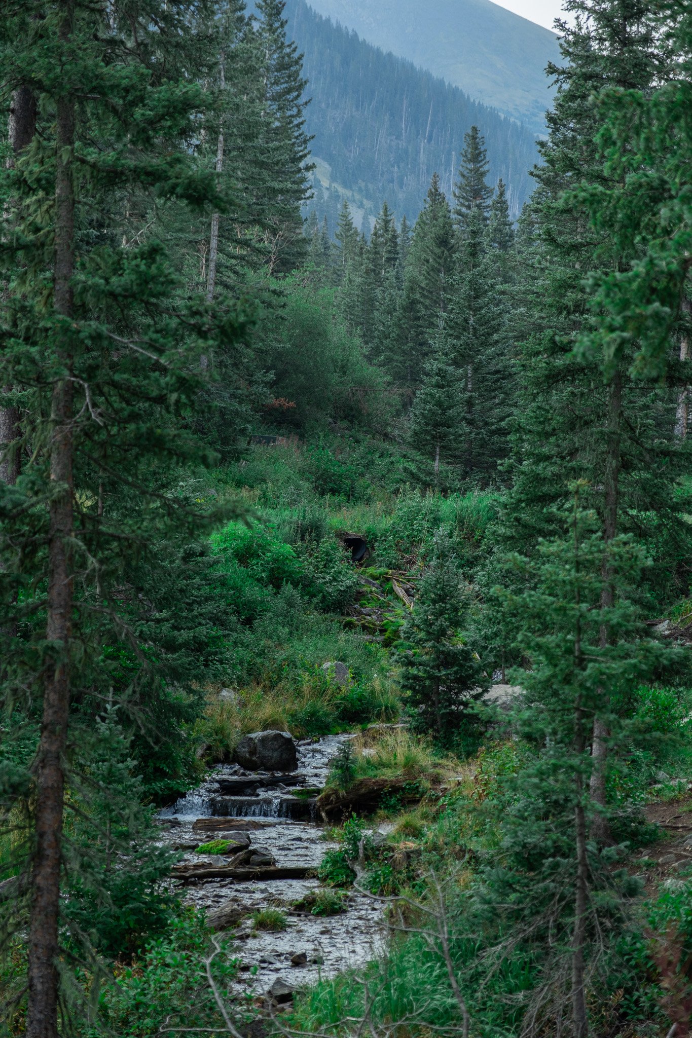 DSCF2948.jpg