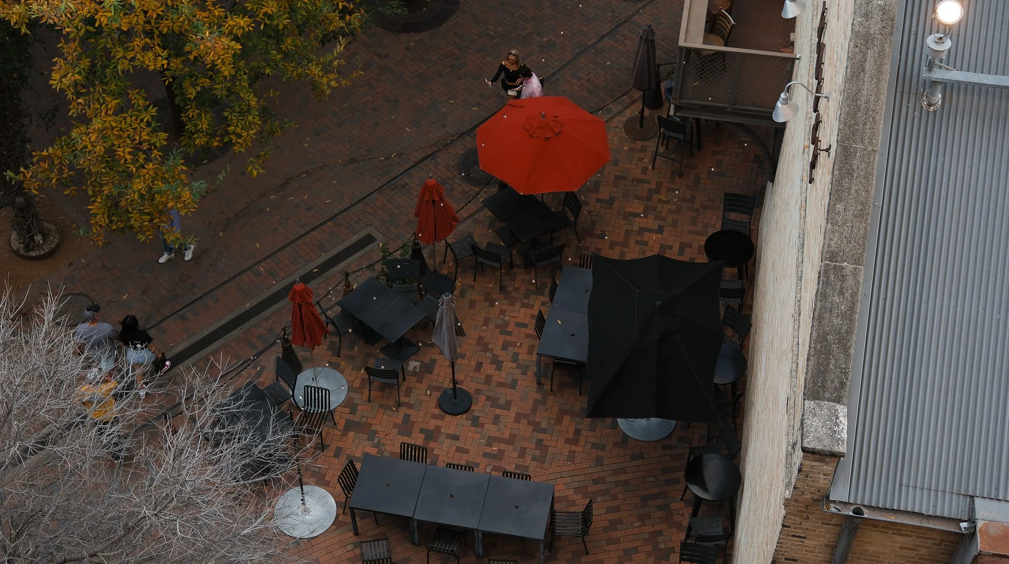 DSCF5935.jpg